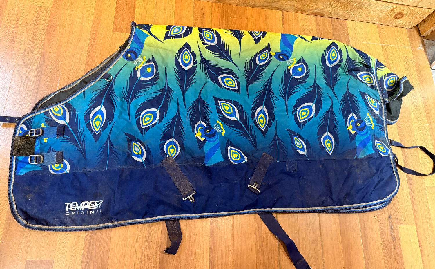 66" Tempest Turn out sheet Peacocks