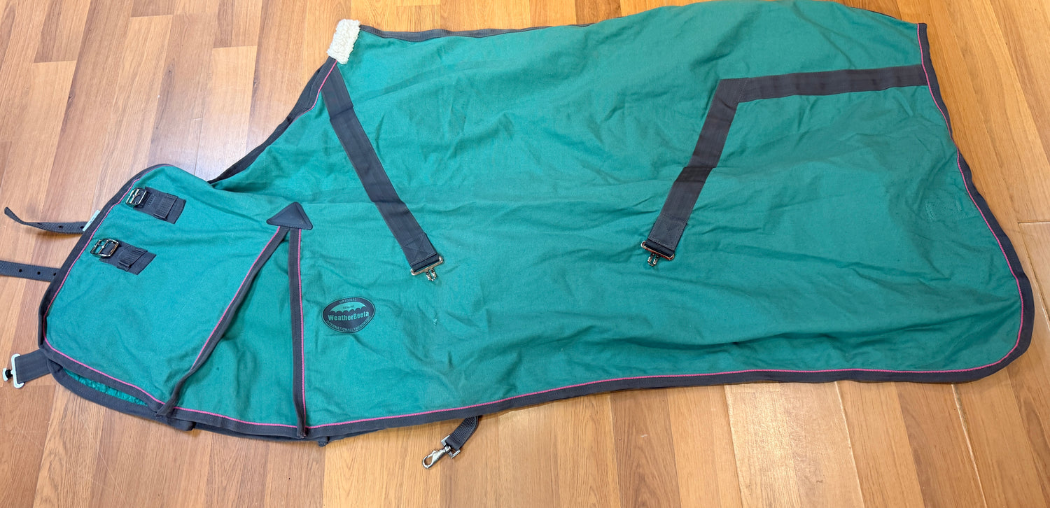 66 "Bella" Stable Show Sheet