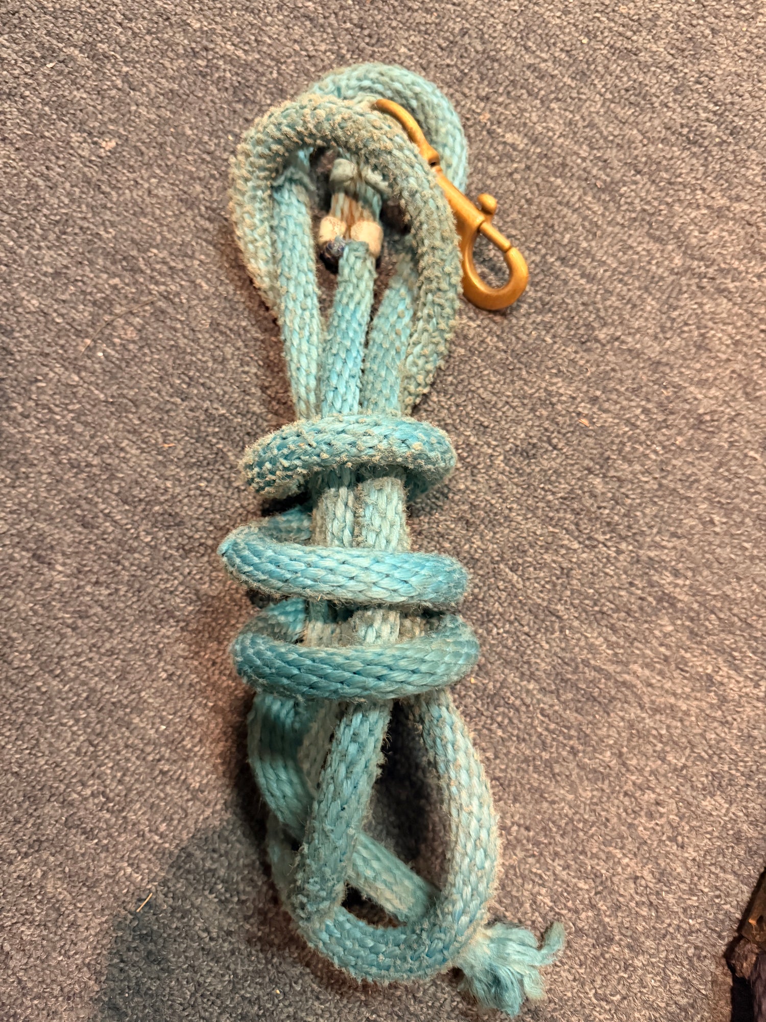 Lead Ropes
