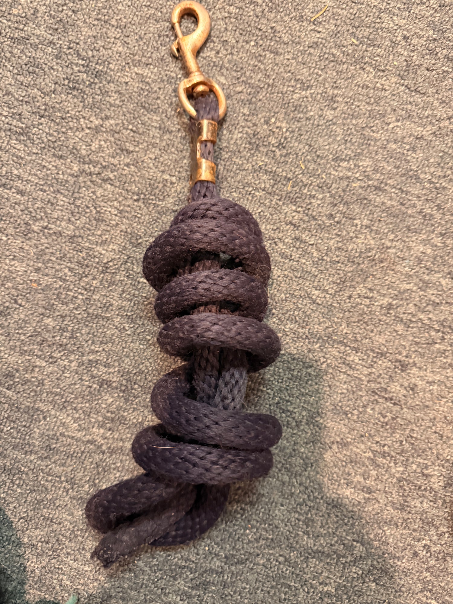 Lead Ropes