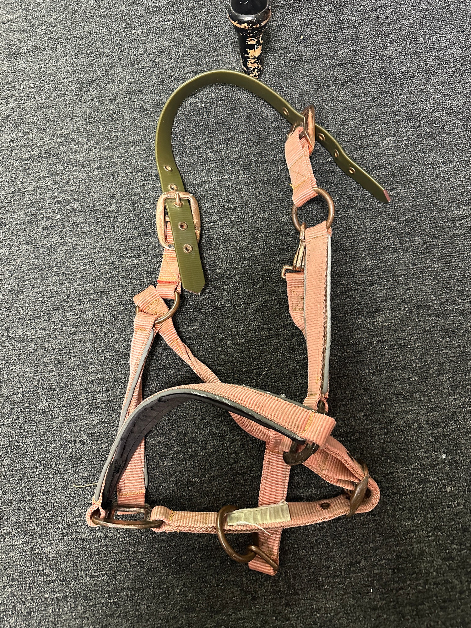 Peach Horse Break a way halter