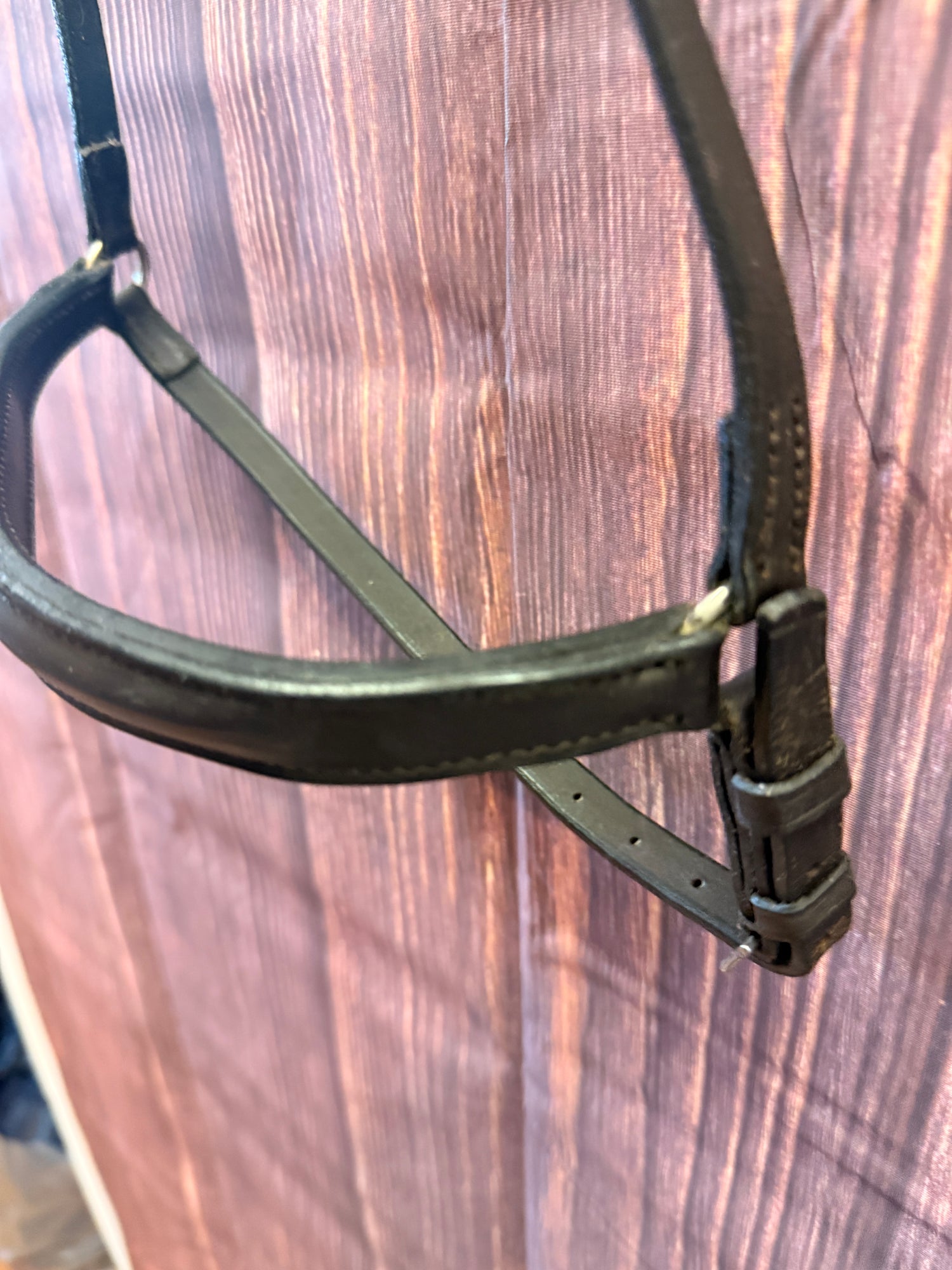 English Grooming halter