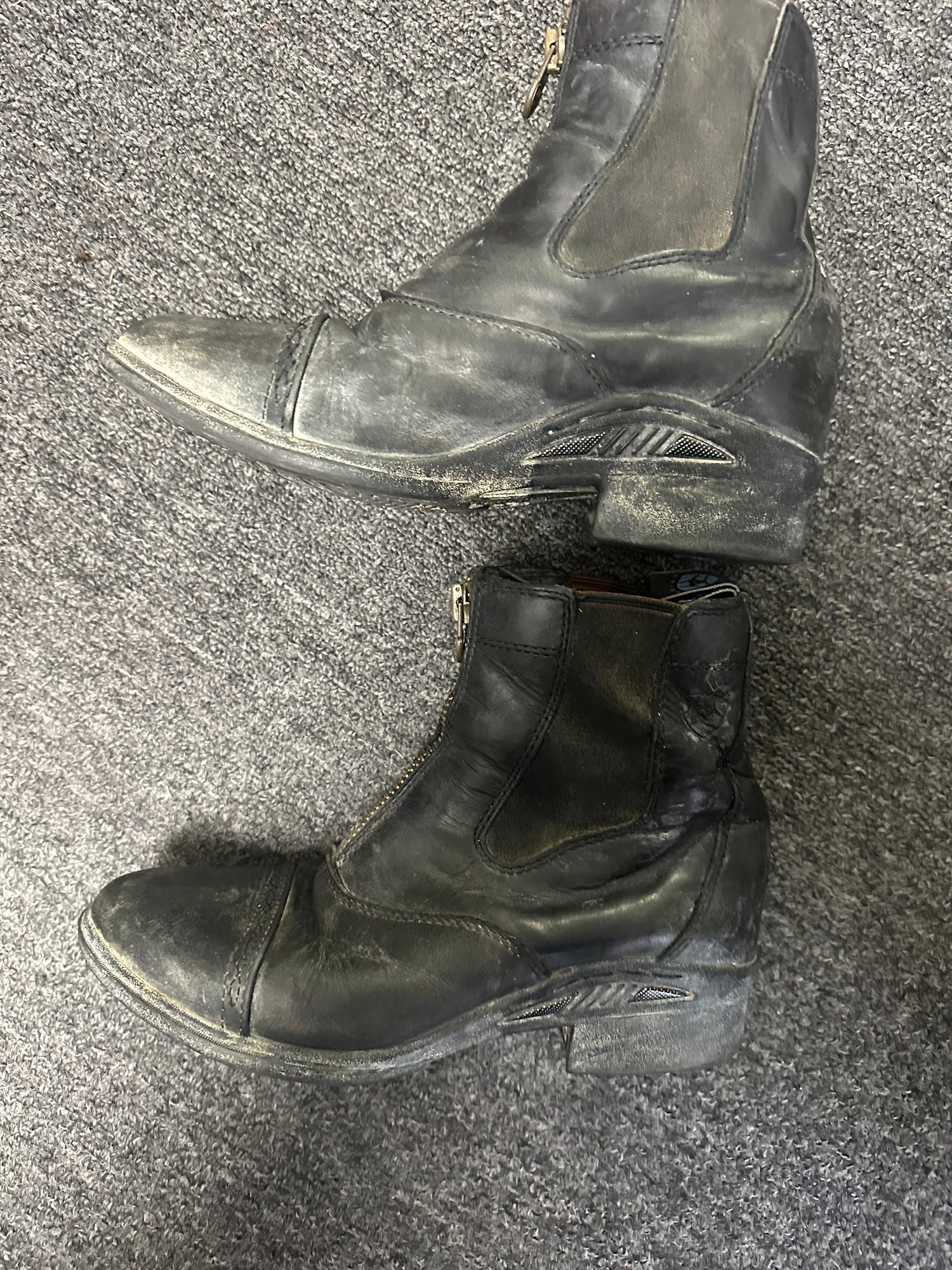 7 or 8 Ariat Paddock Boots