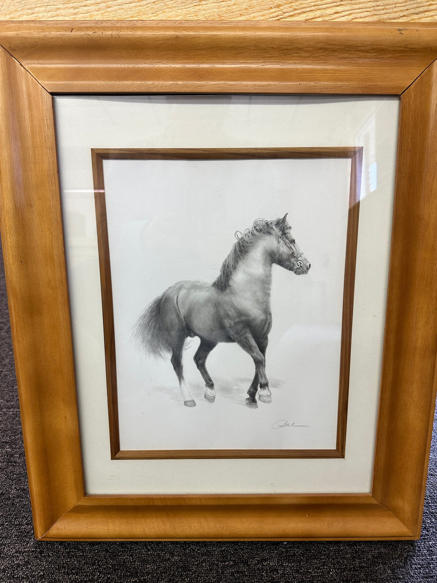 Artist Bettyann Lemist, Original Graphite on paper Welsh Stallion