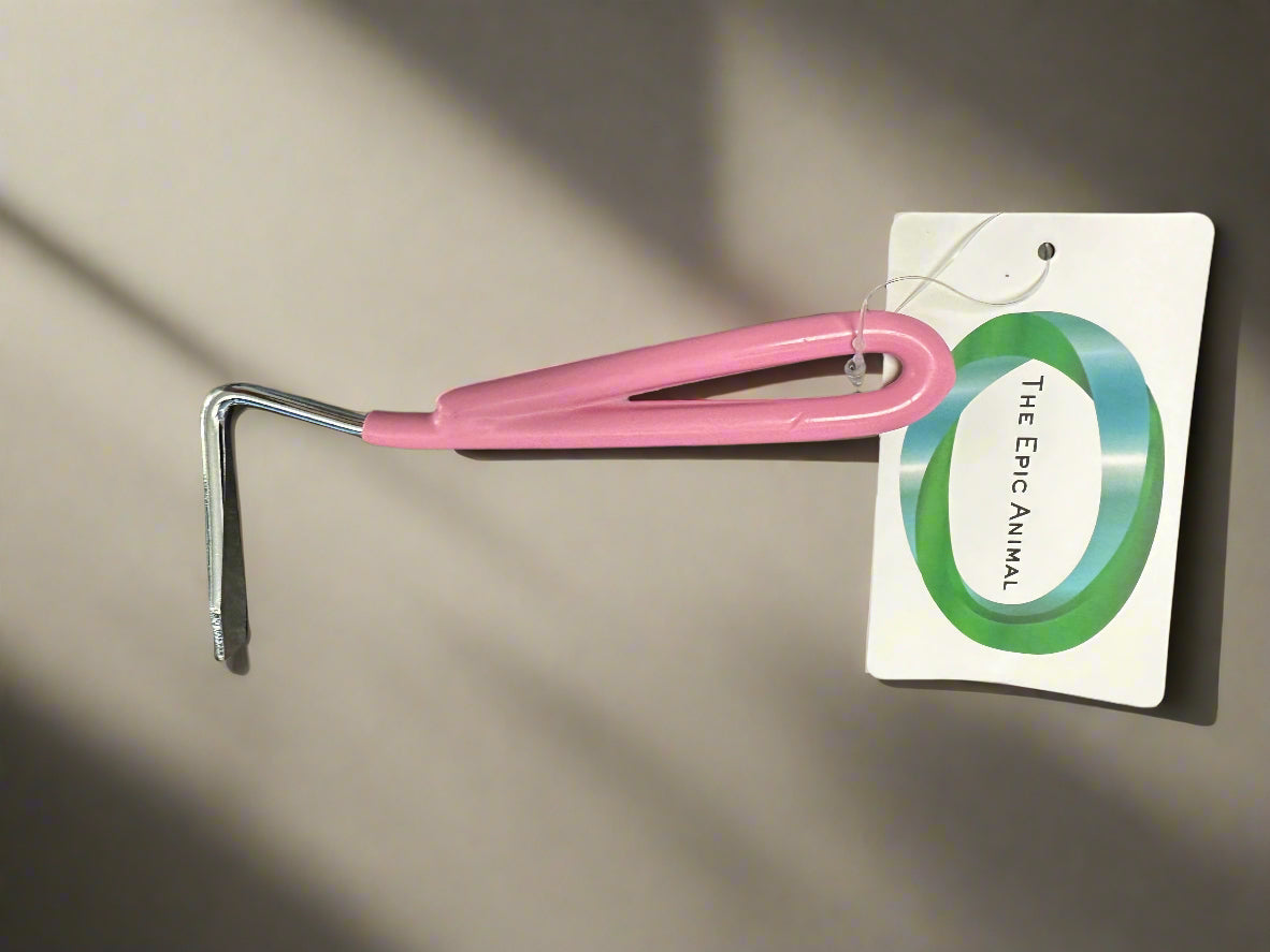 Pink Hoof Pick Metal