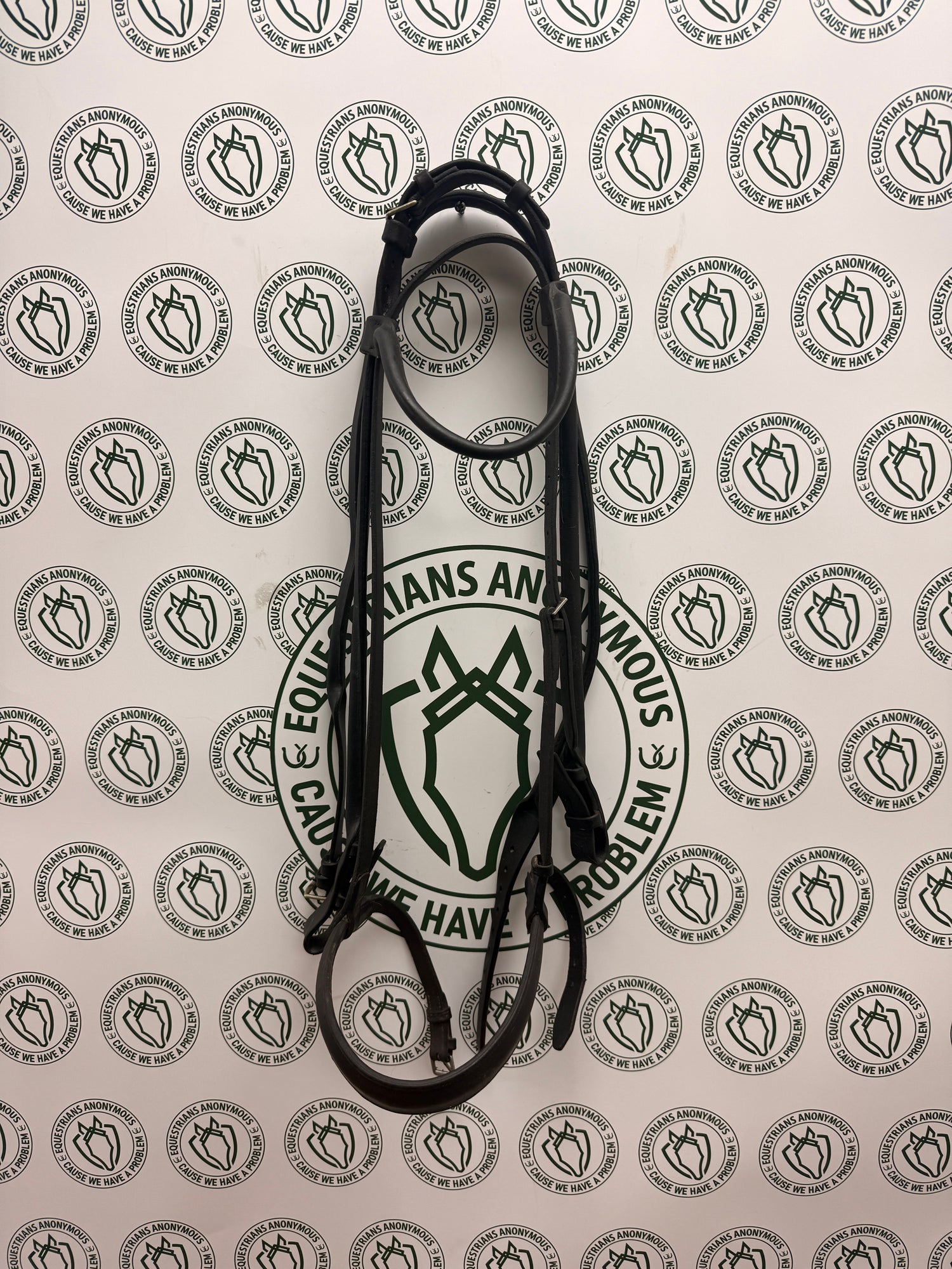 Horse sized Bridle with wide laced reins