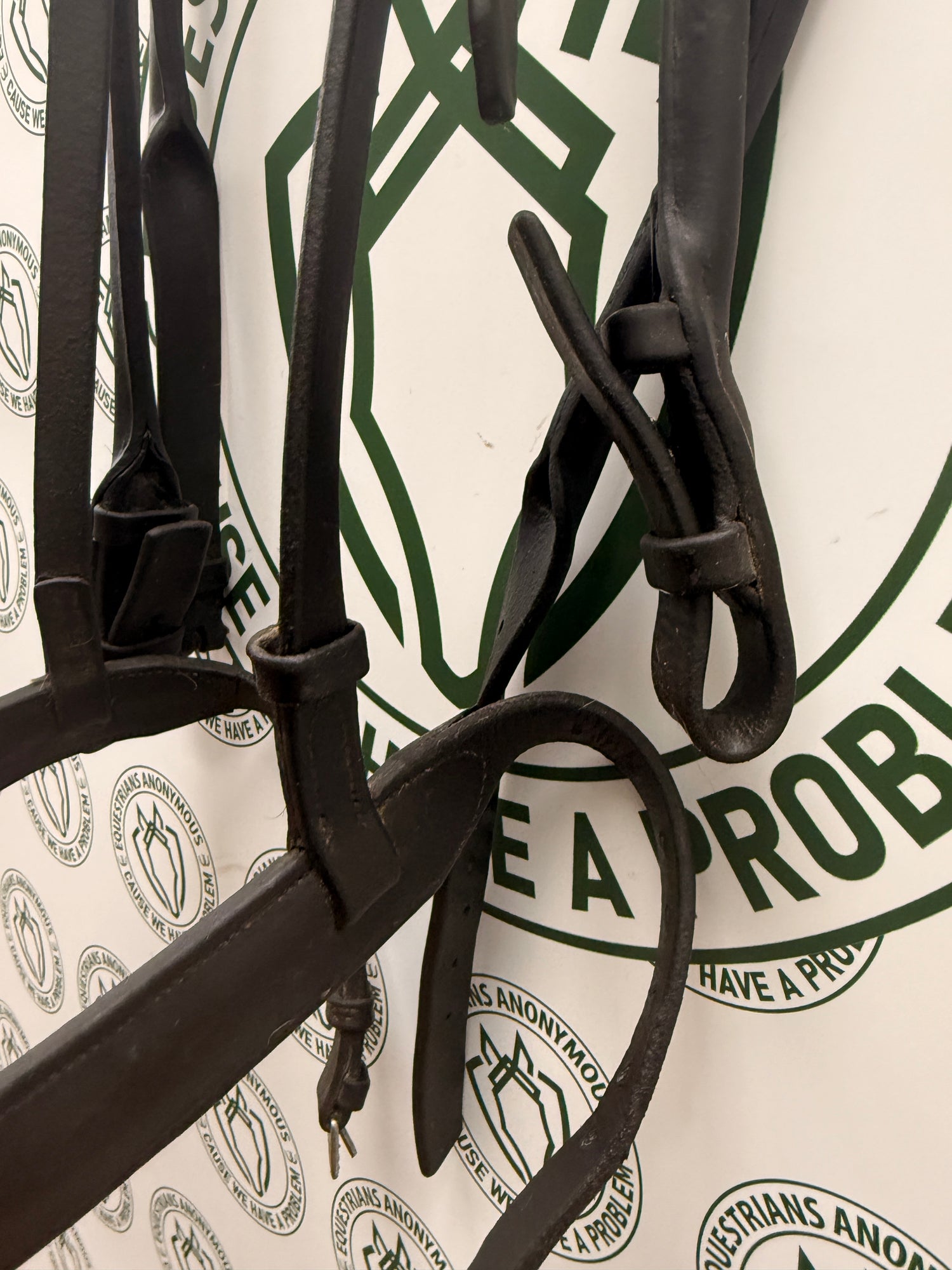 Horse sized Bridle with wide laced reins