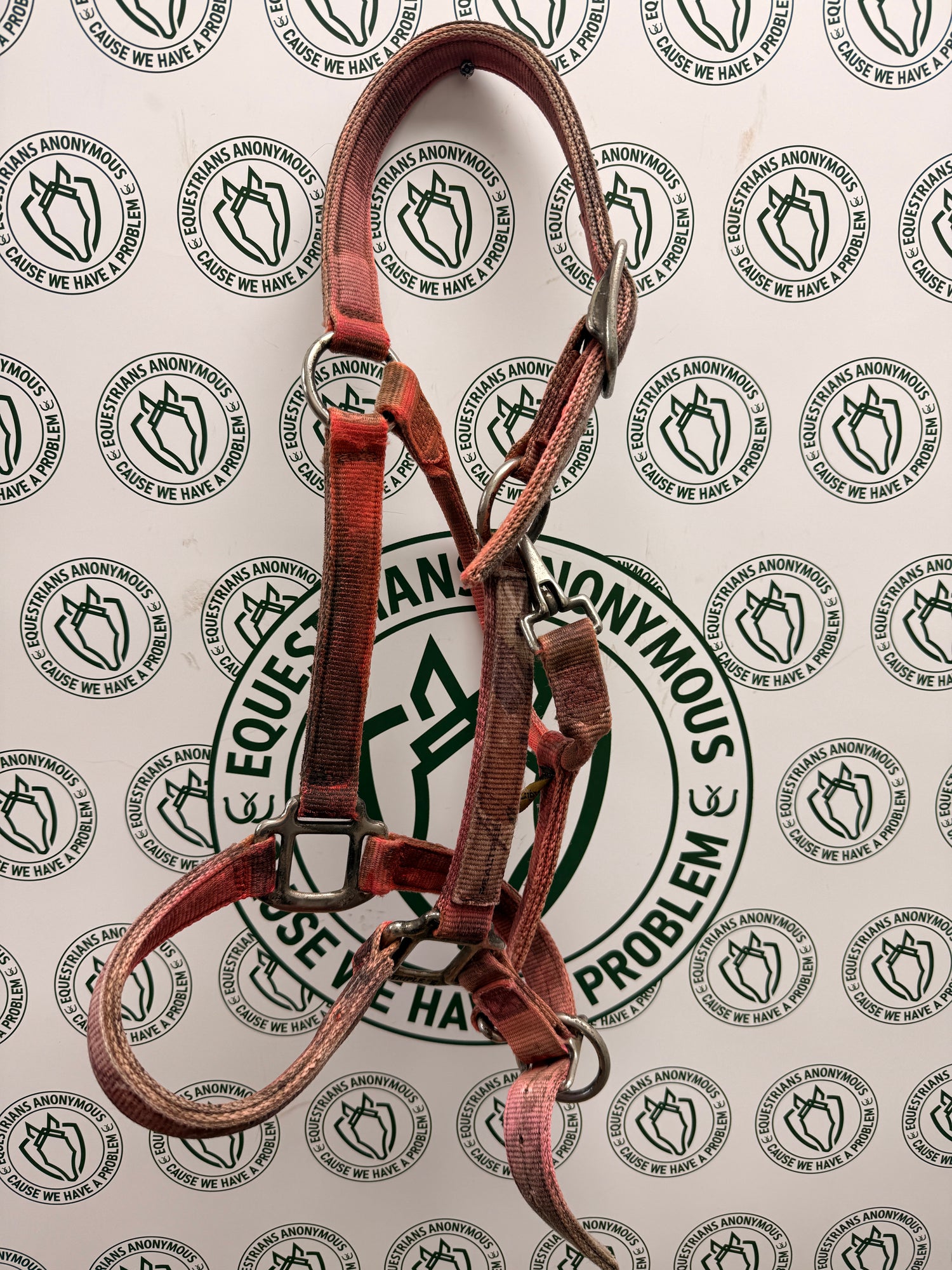Schooling Halters