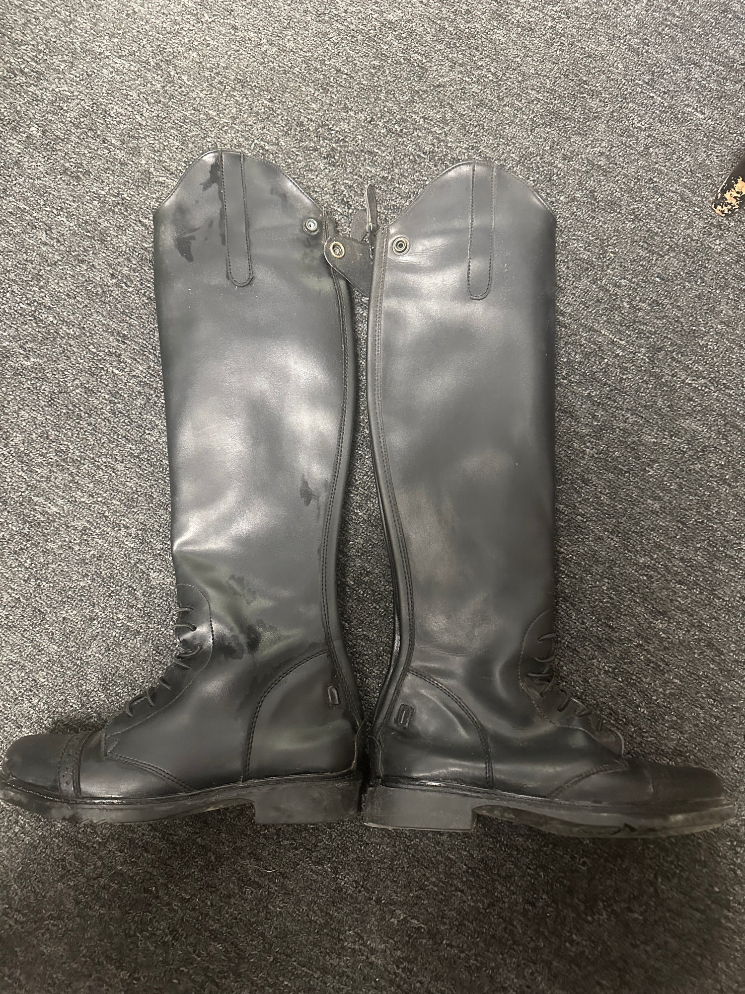 6 Women's Black Tall Field Boots