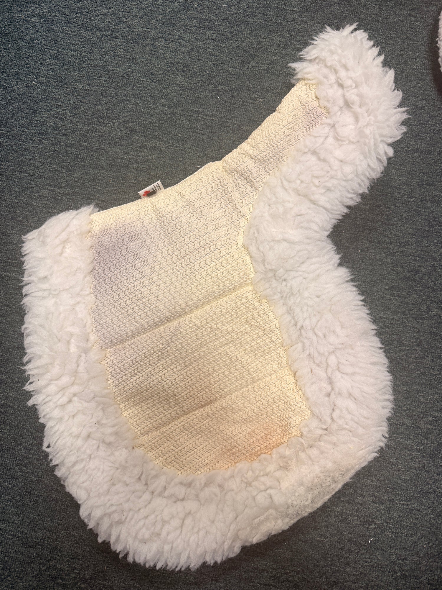 14-15" Schooling English Shaped Pad with trim