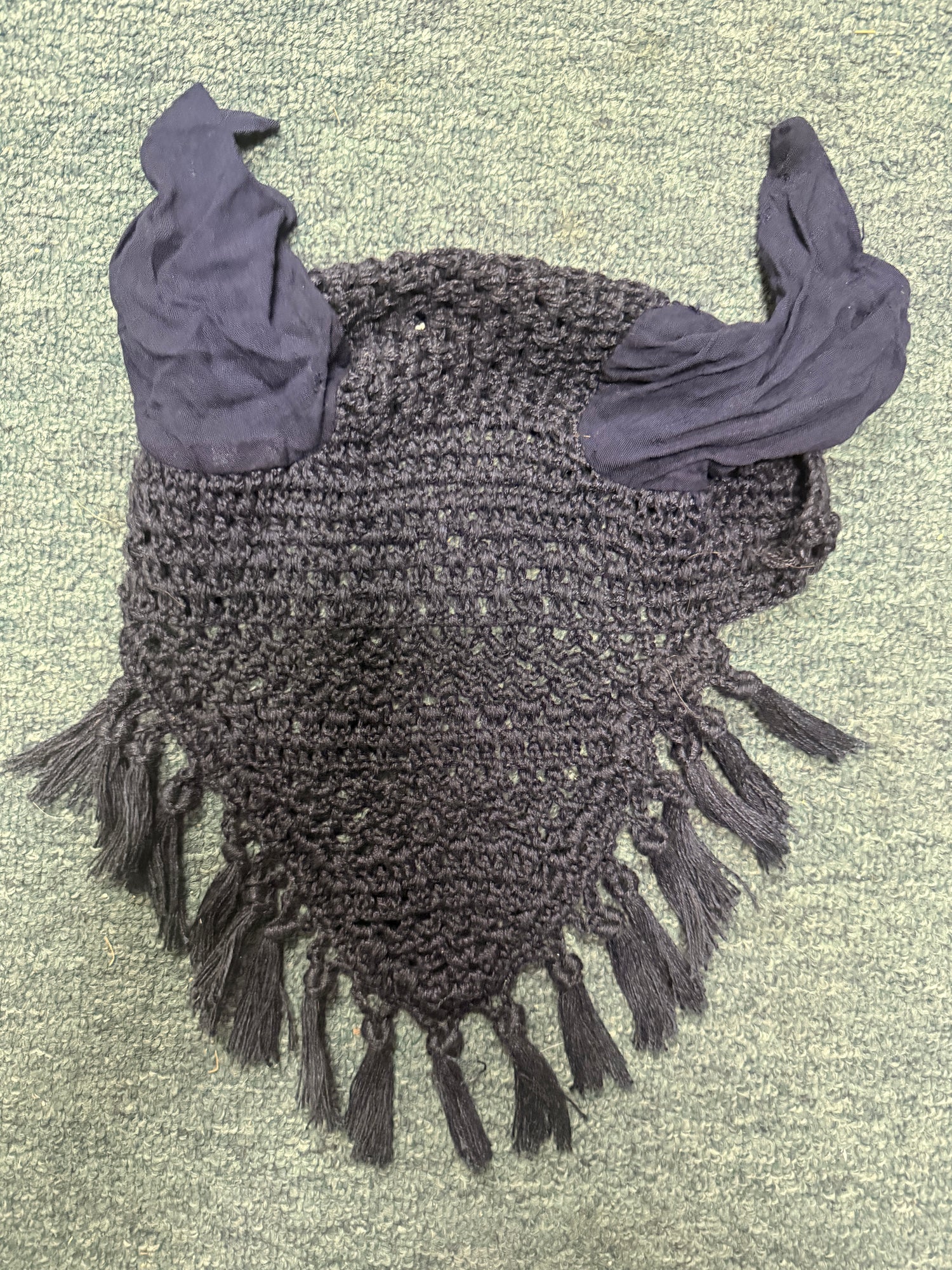 Blue fly bonnet