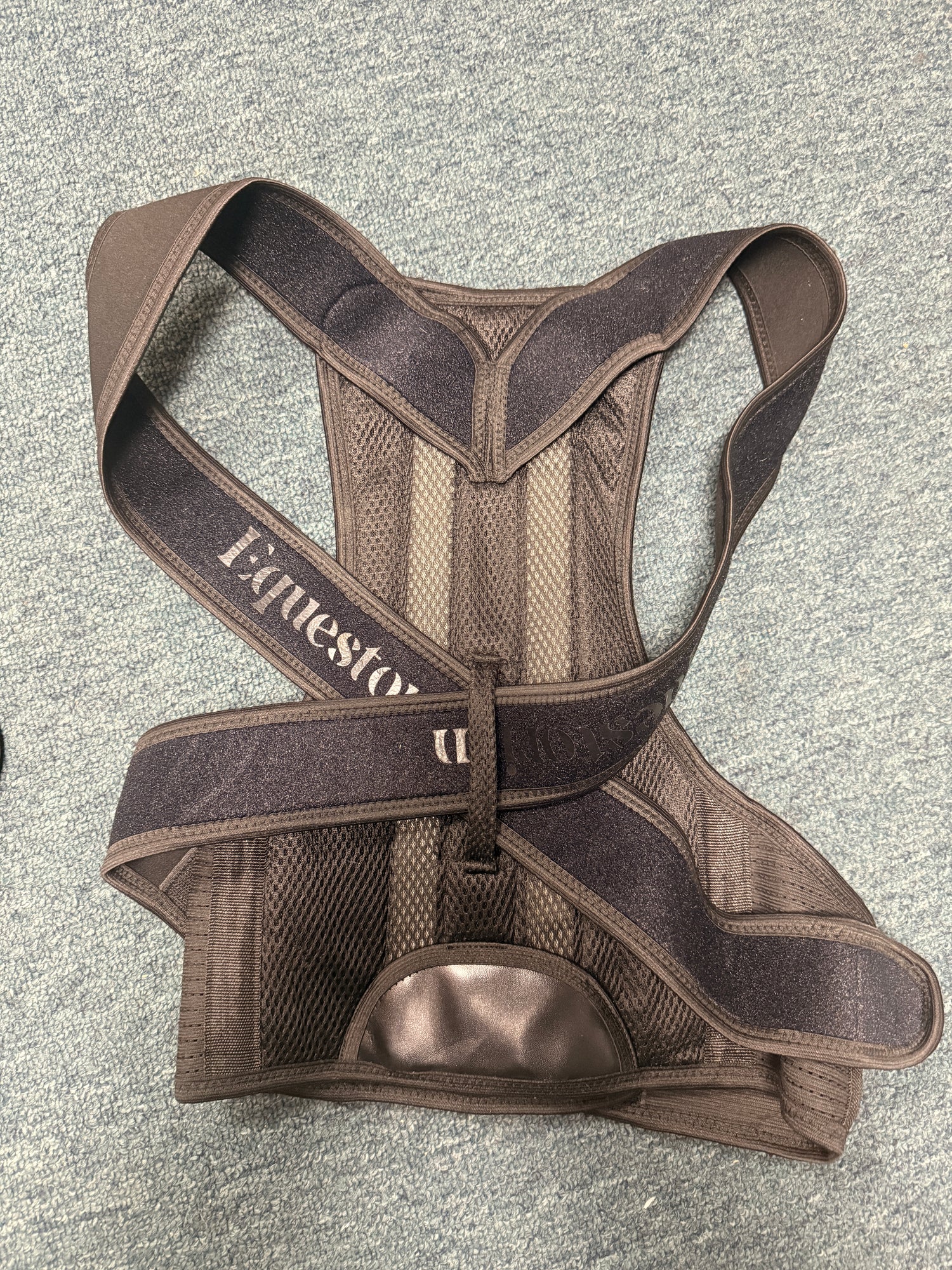 Equestorian Back Brace size small