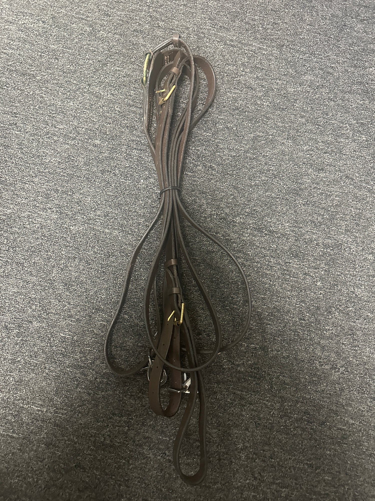 Draw Reins with clips