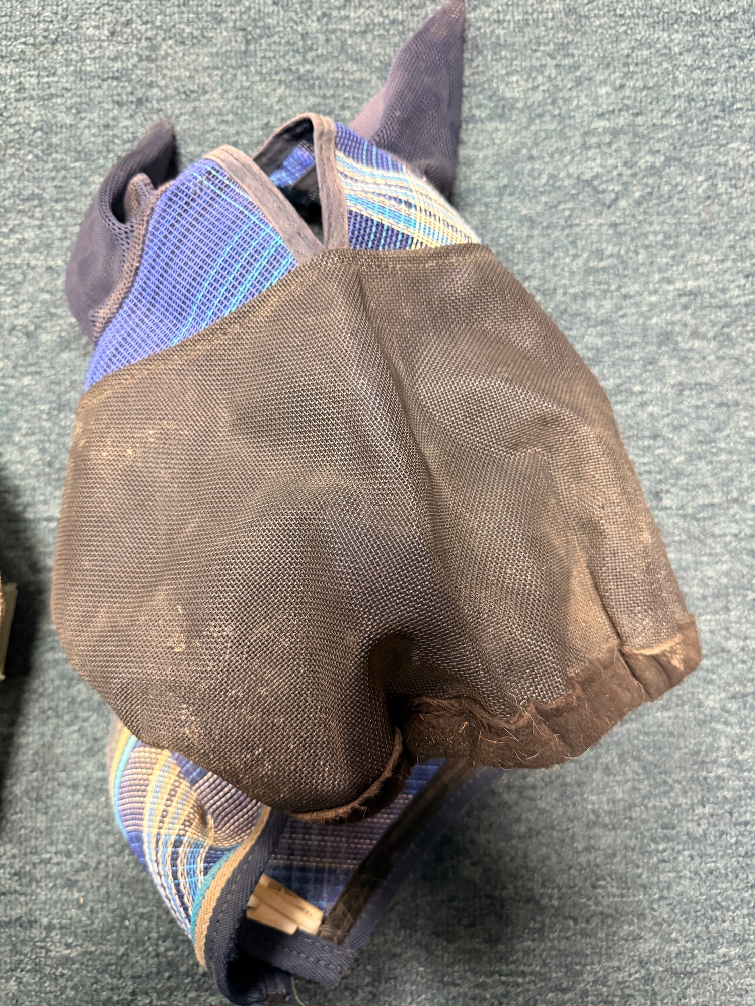 fly mask assorted horse size