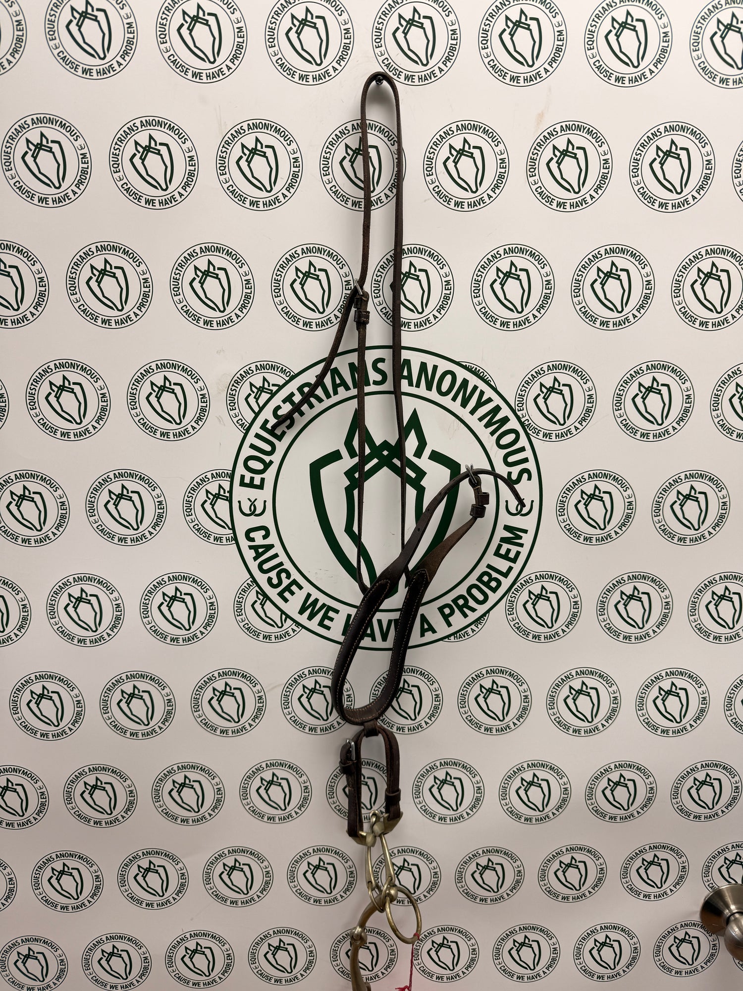Brown Leather Noseband (Cavesson)  with attached 5" Citation Bit