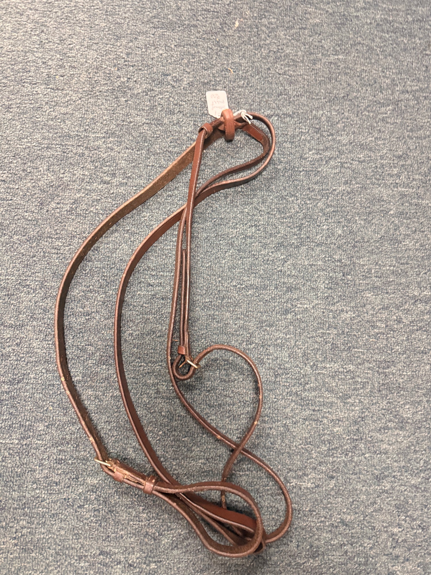 Standing martingale Havana brown cob  horse