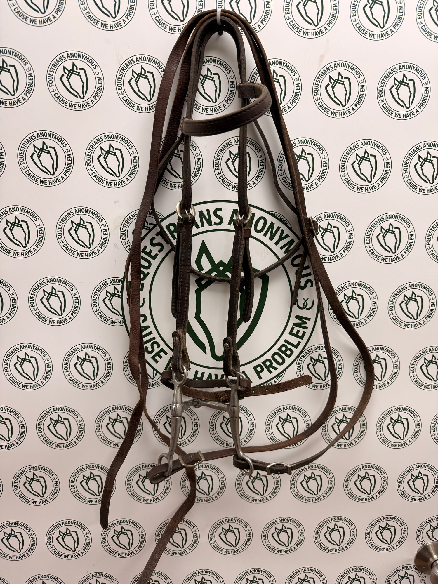 Western style headstall with split reins and western bit