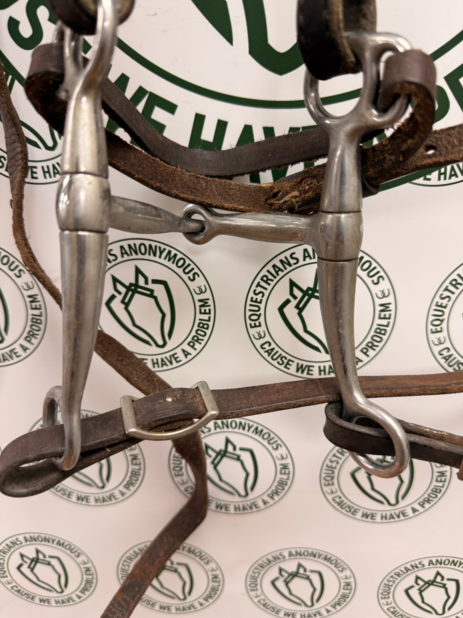 Western style headstall with split reins and western bit