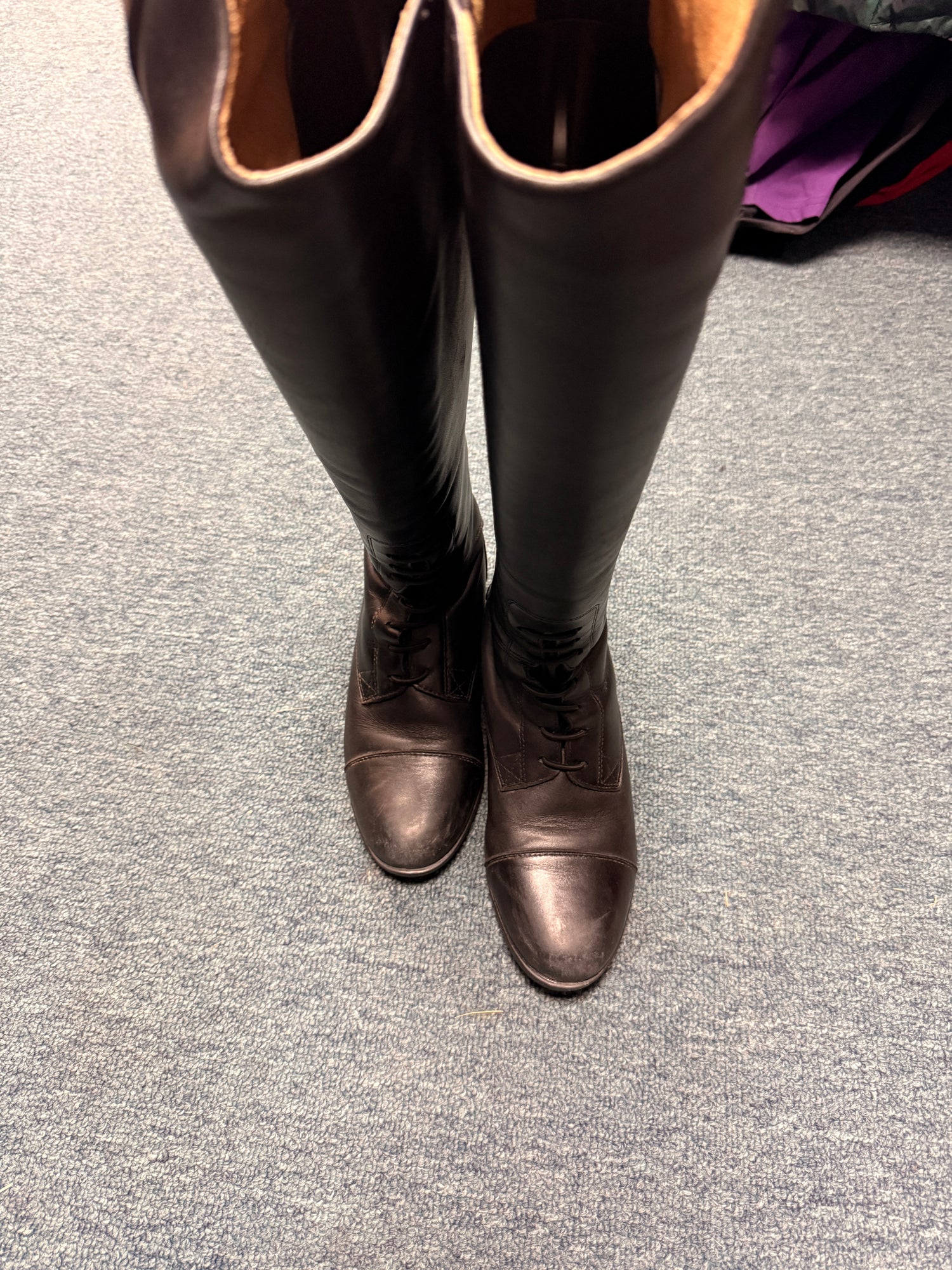 6.5 Women's Ariat Heritage Contour II Field Boot