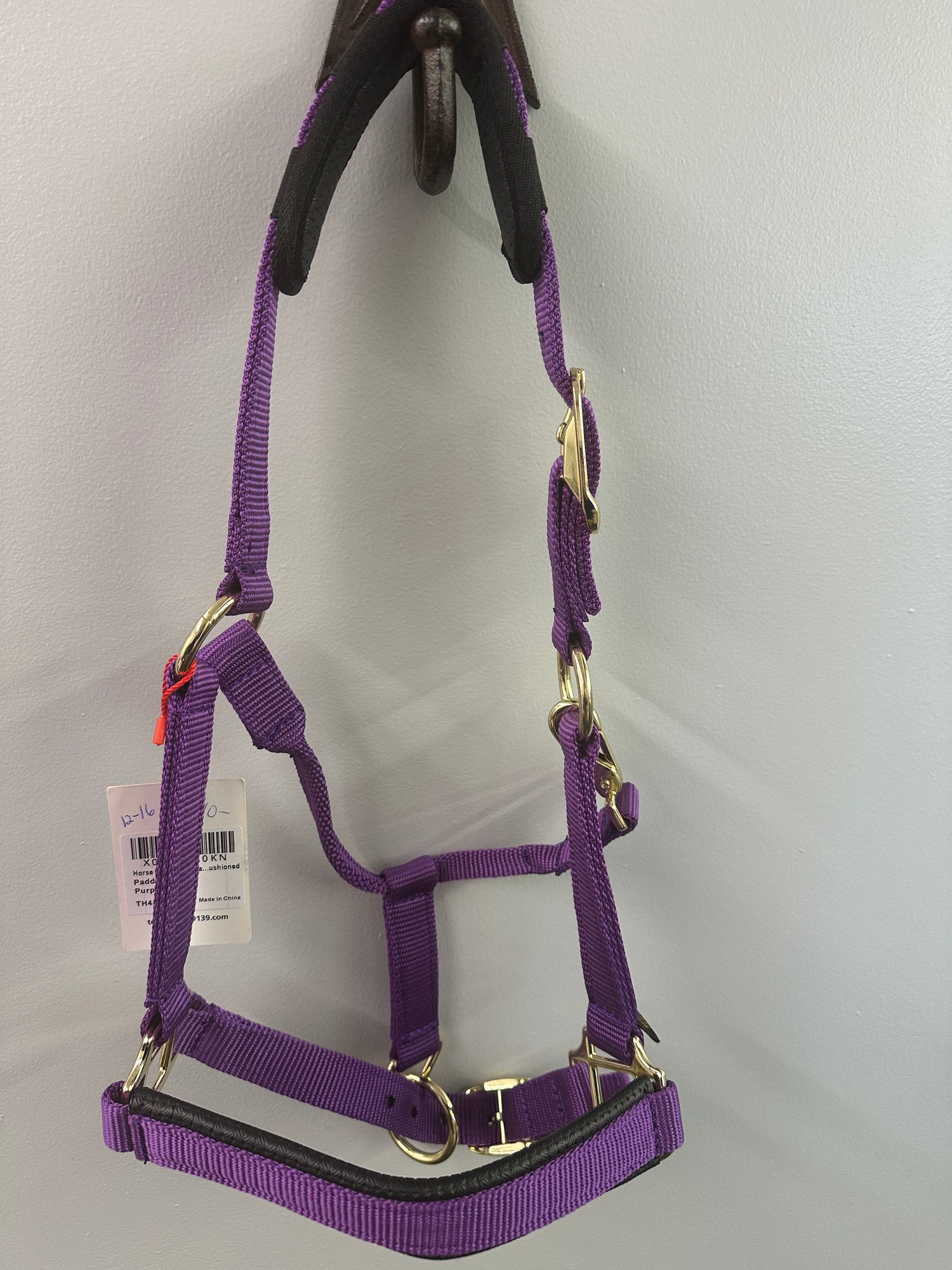 Purple Pony Halter