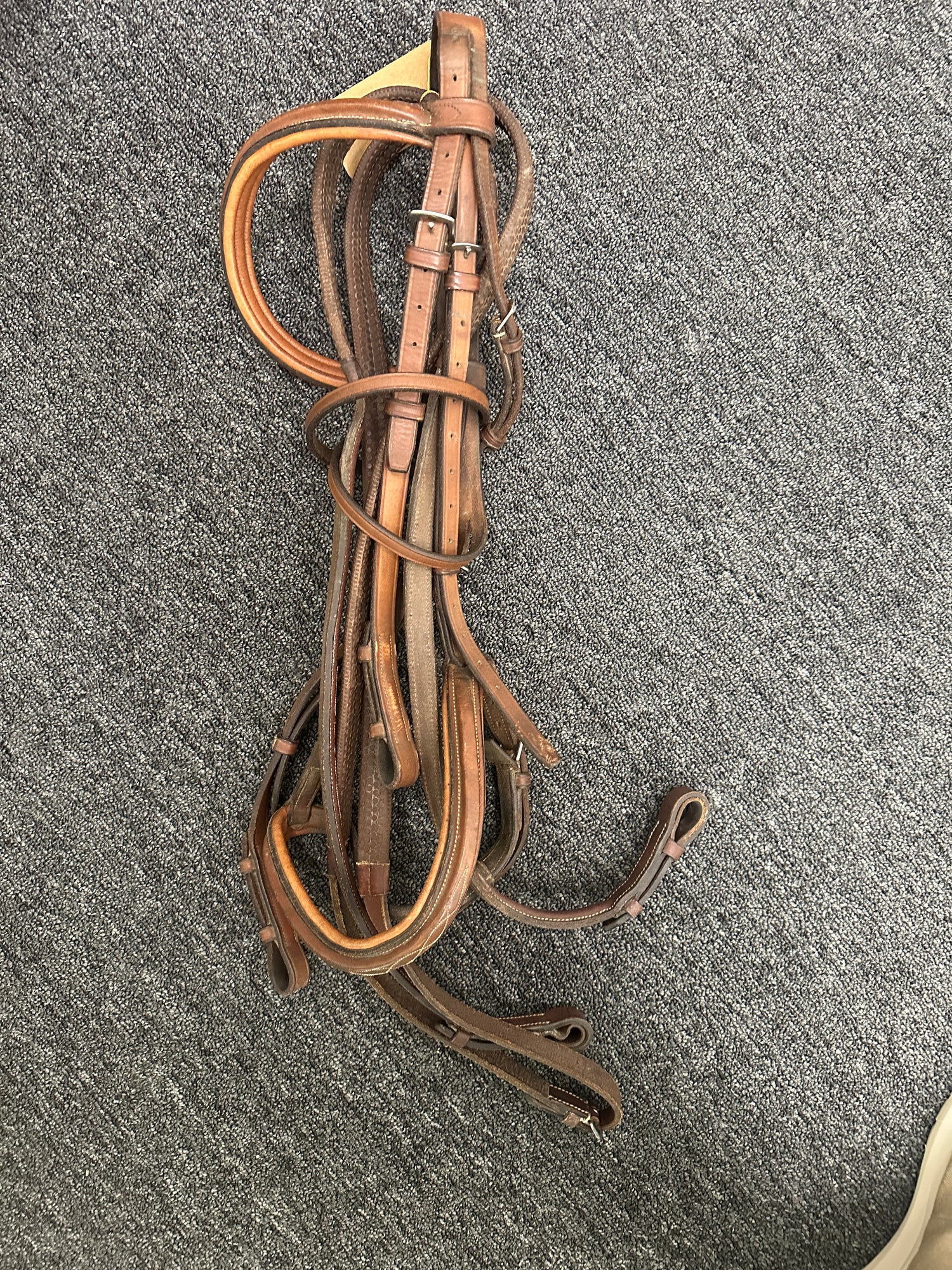 Horse Bridles Assorted