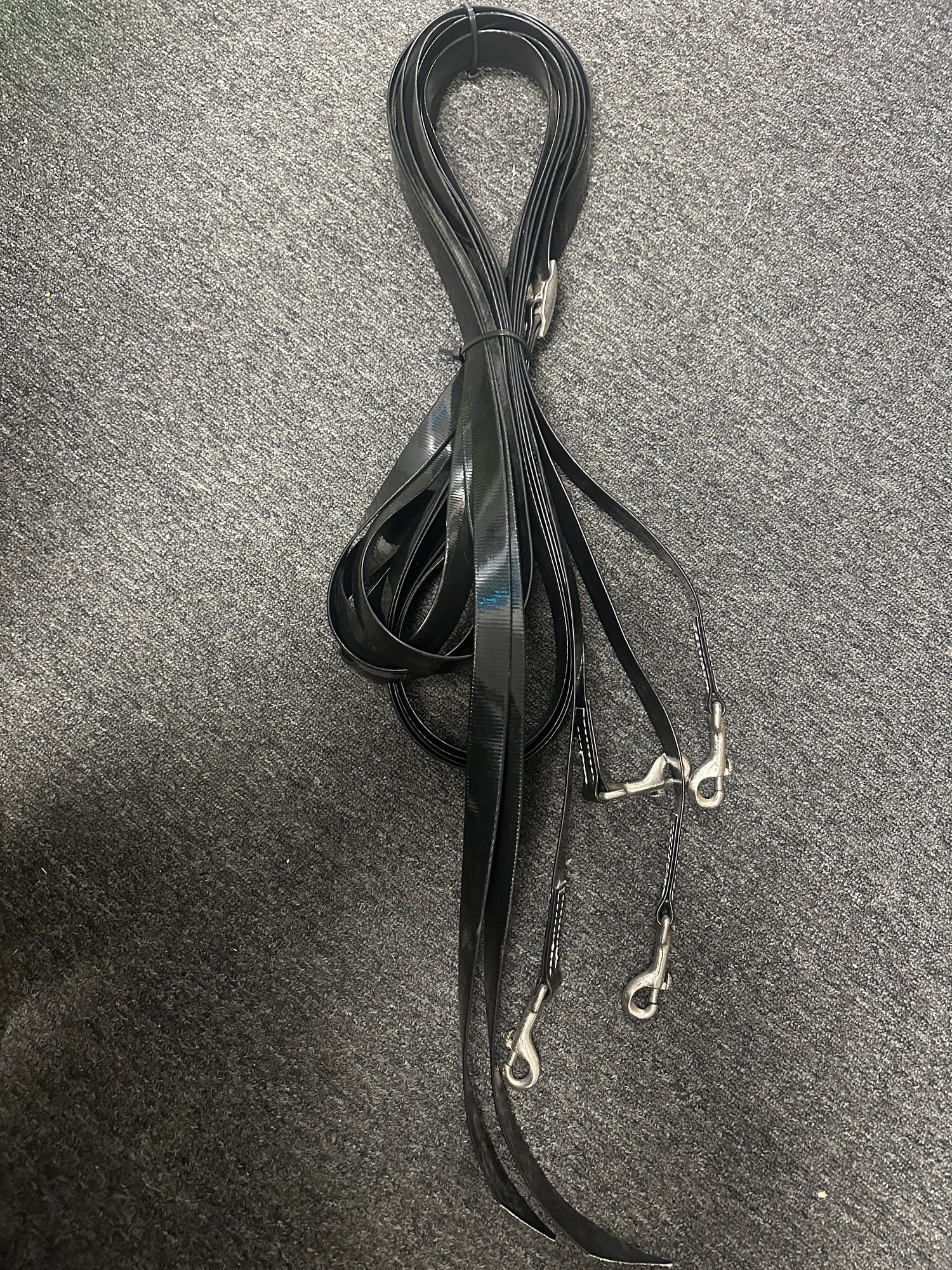 18ft. Pair Driving Reins black Biothane