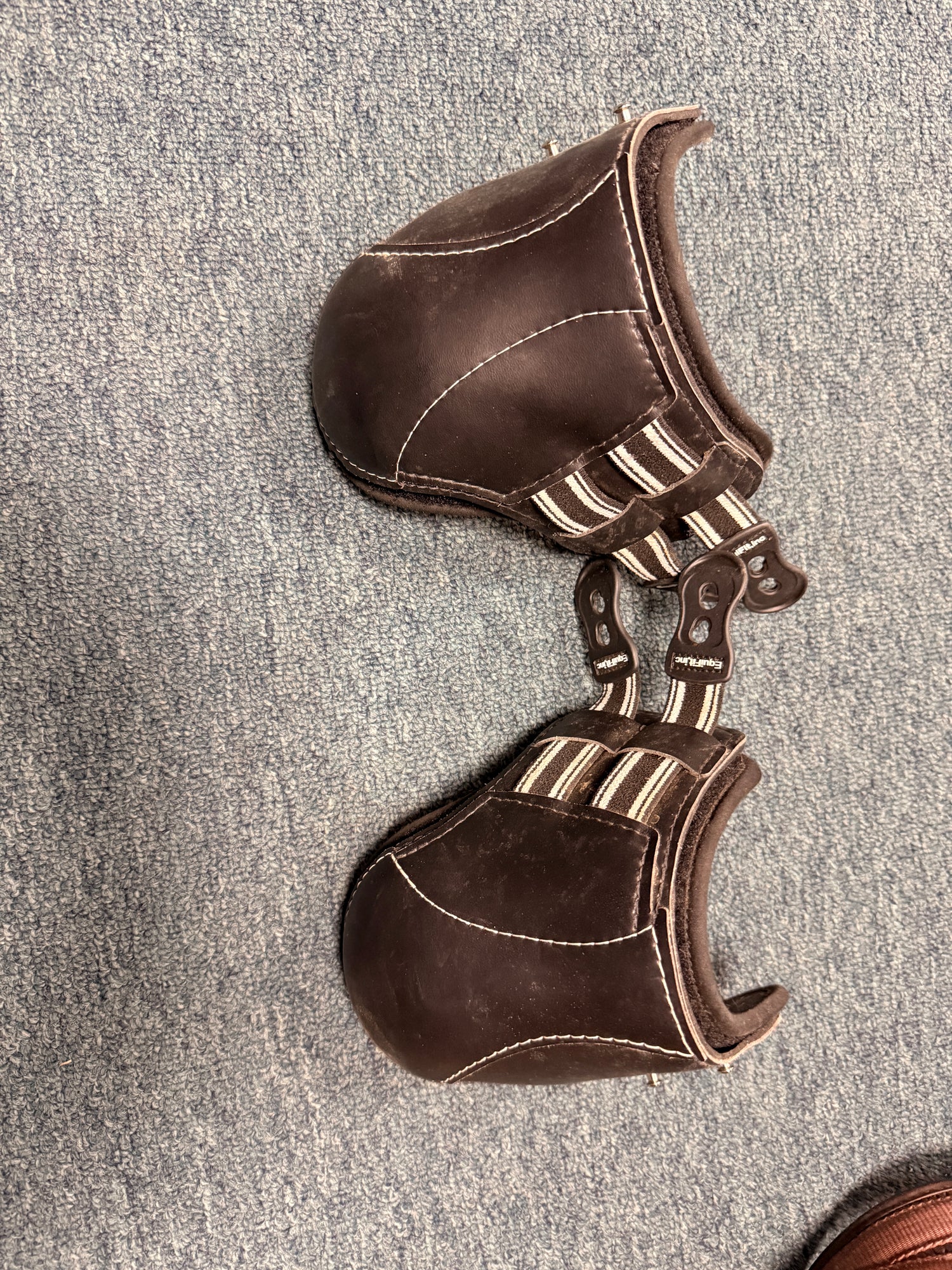 XL EXP3 Hind Boot by Equifit