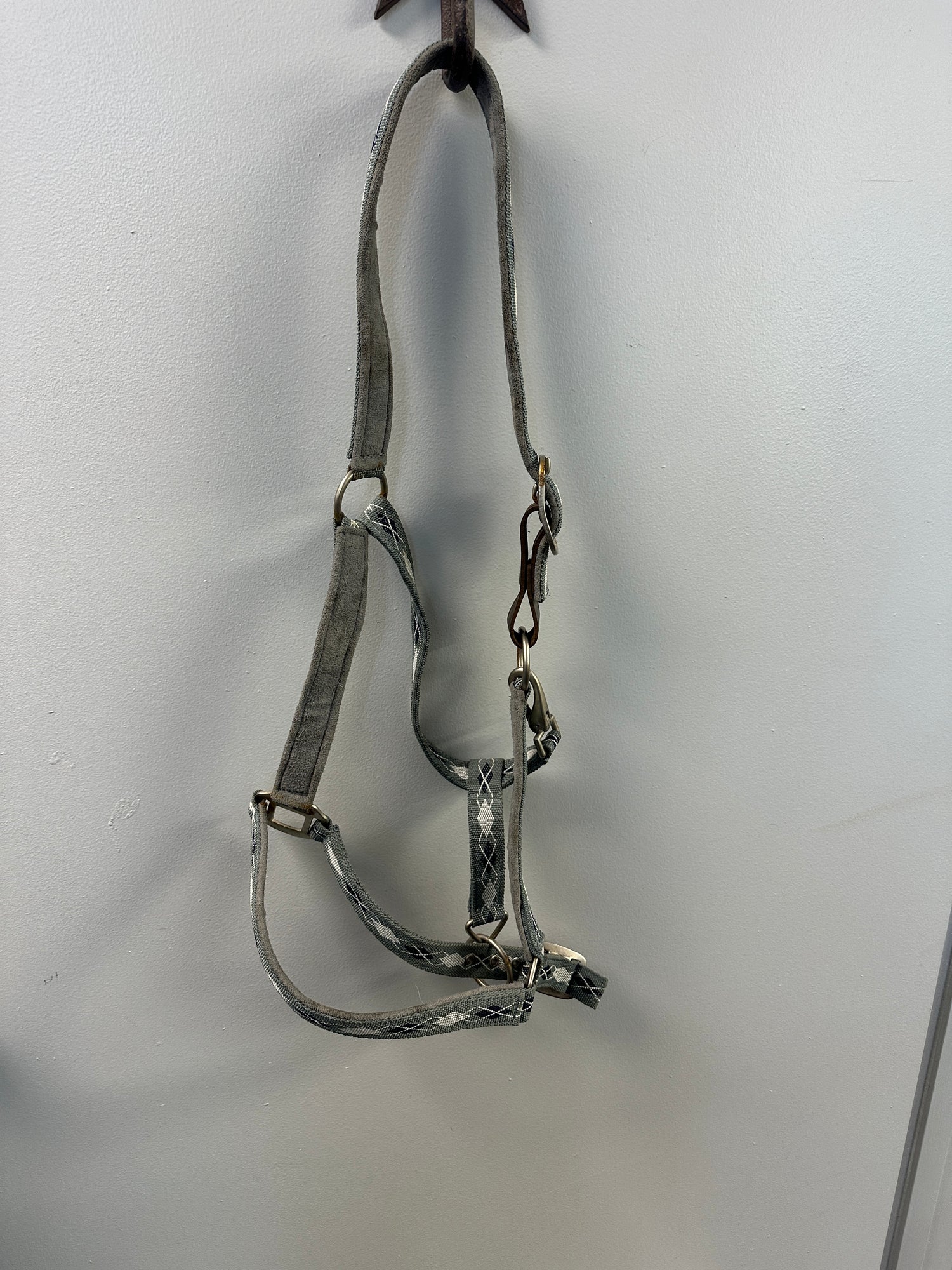 Horse Halters Assorted