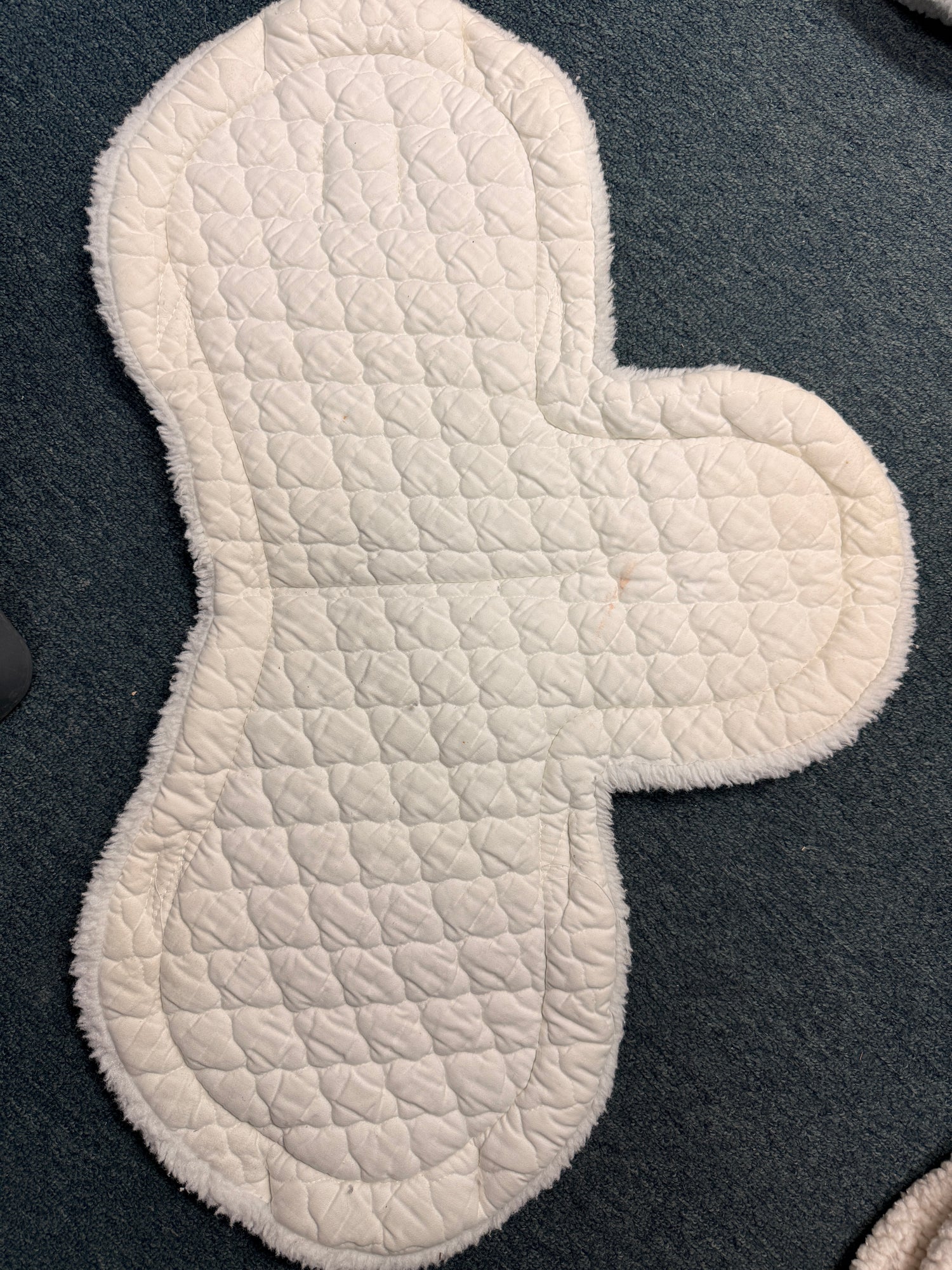 16.5" Spine Medallion shaped English Pad