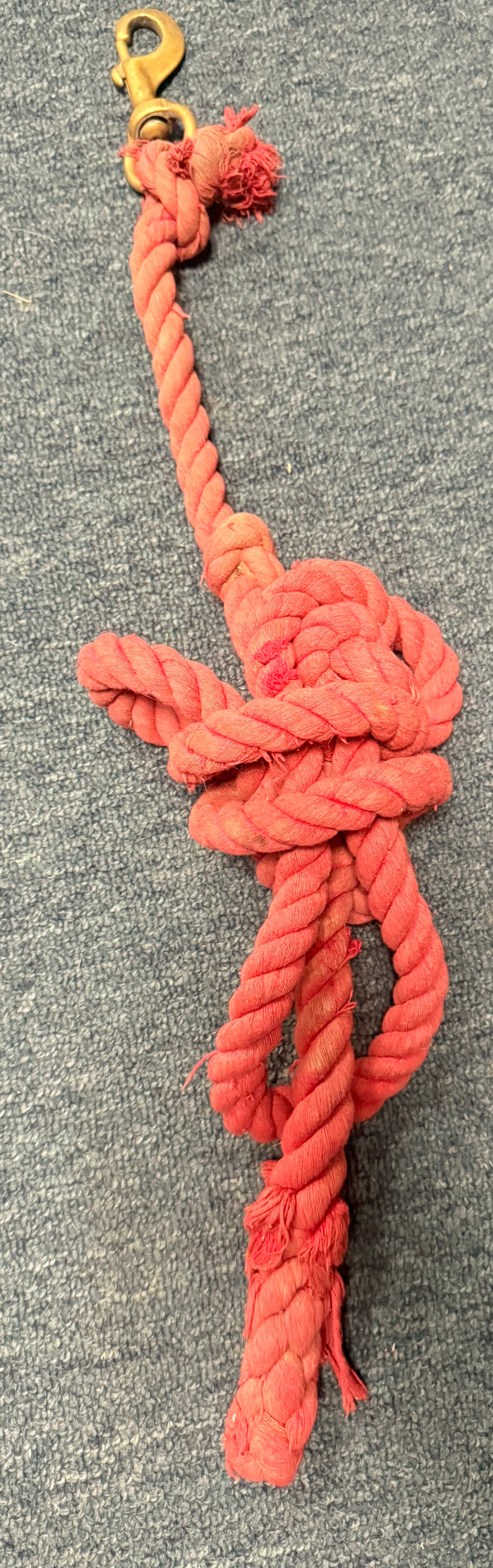 Red Horse Lead Rope