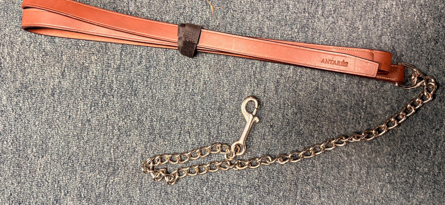 Antares Horse Lead with Silver Chain Med Brown