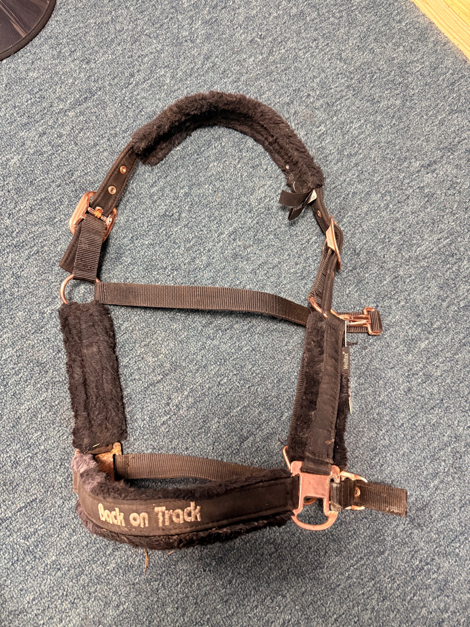 Horse Sized Back on Track Halter w fleece Nylon Rose Gold