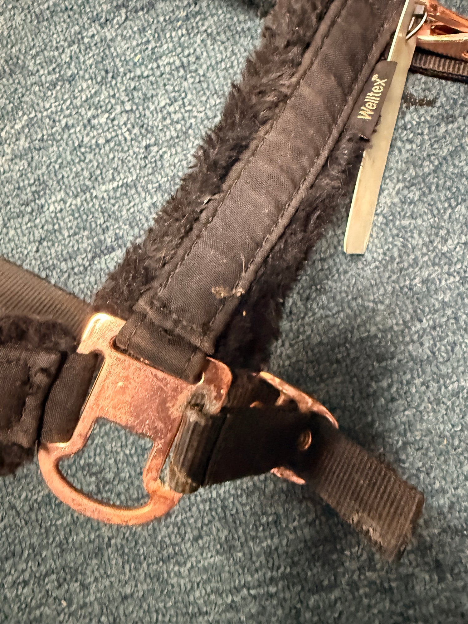 Horse Sized Back on Track Halter w fleece Nylon Rose Gold