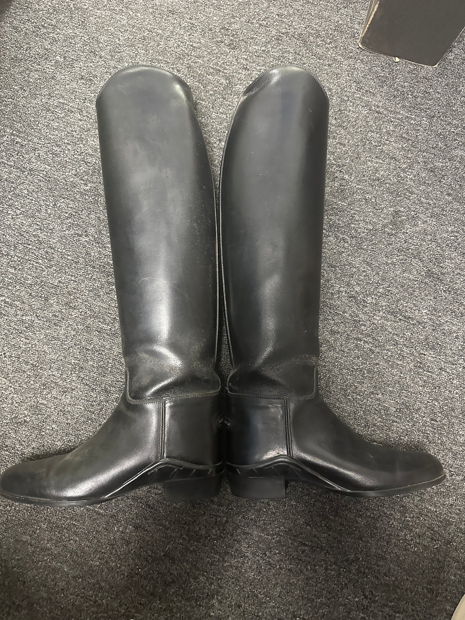 8.5 Women's Dress Boot Ariat Medalist