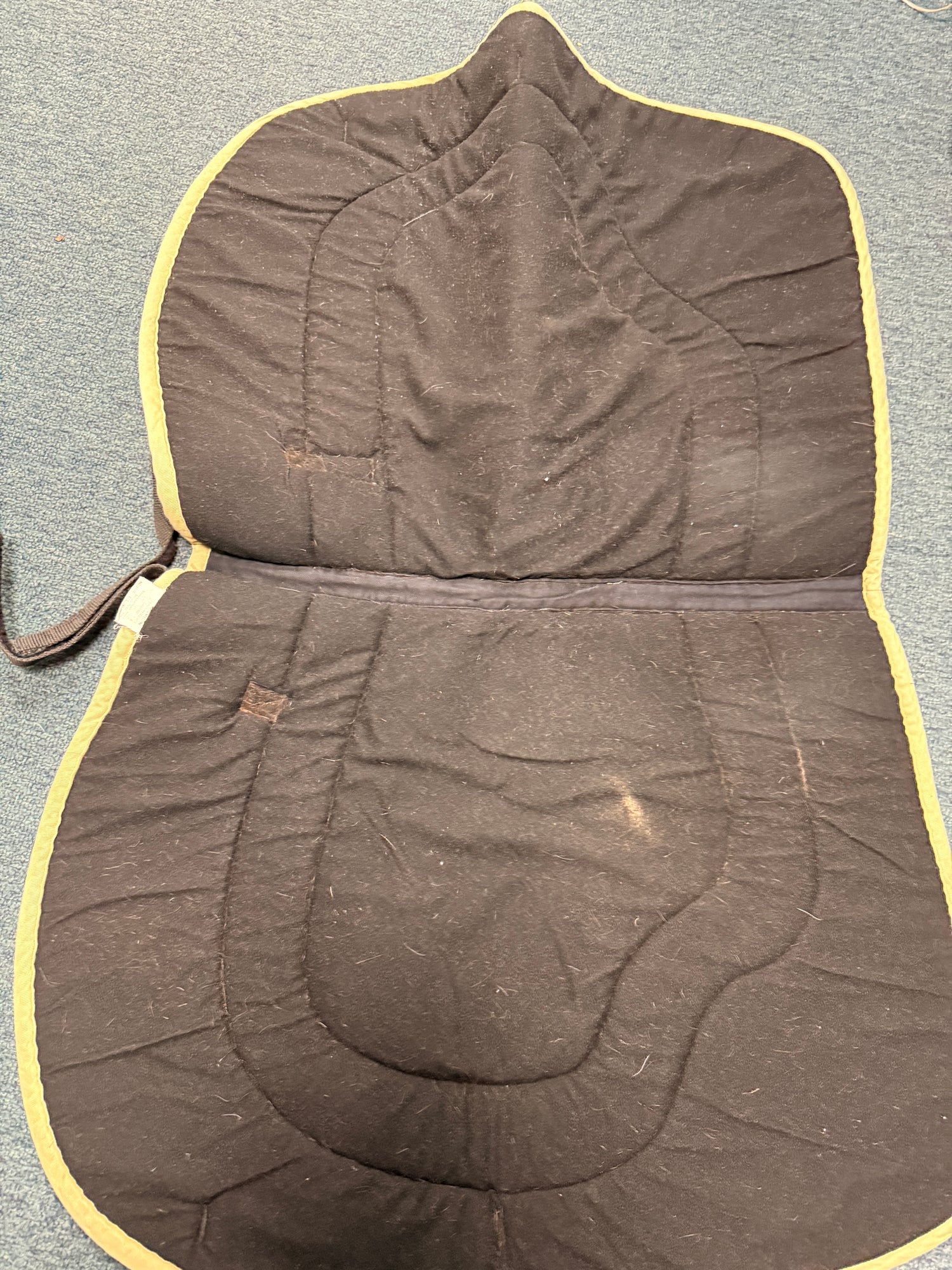 Equine Couture AP Pad