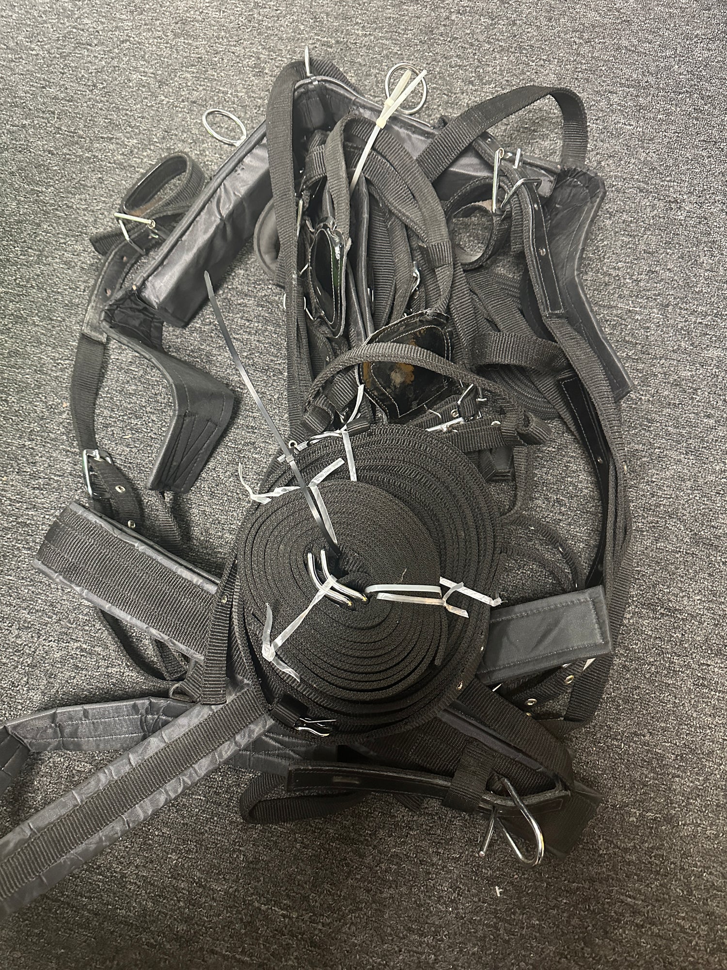 Pony size Complete Nylon Driving Harness