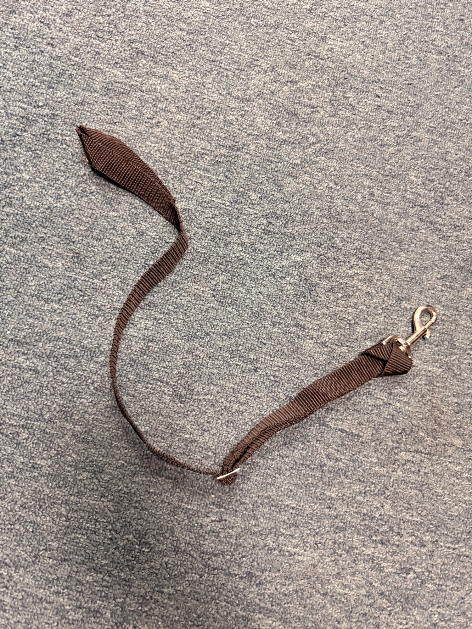blanket Strap single end snap