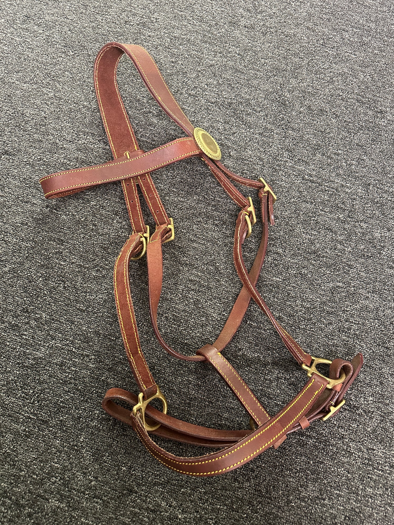 Leather Halter western style