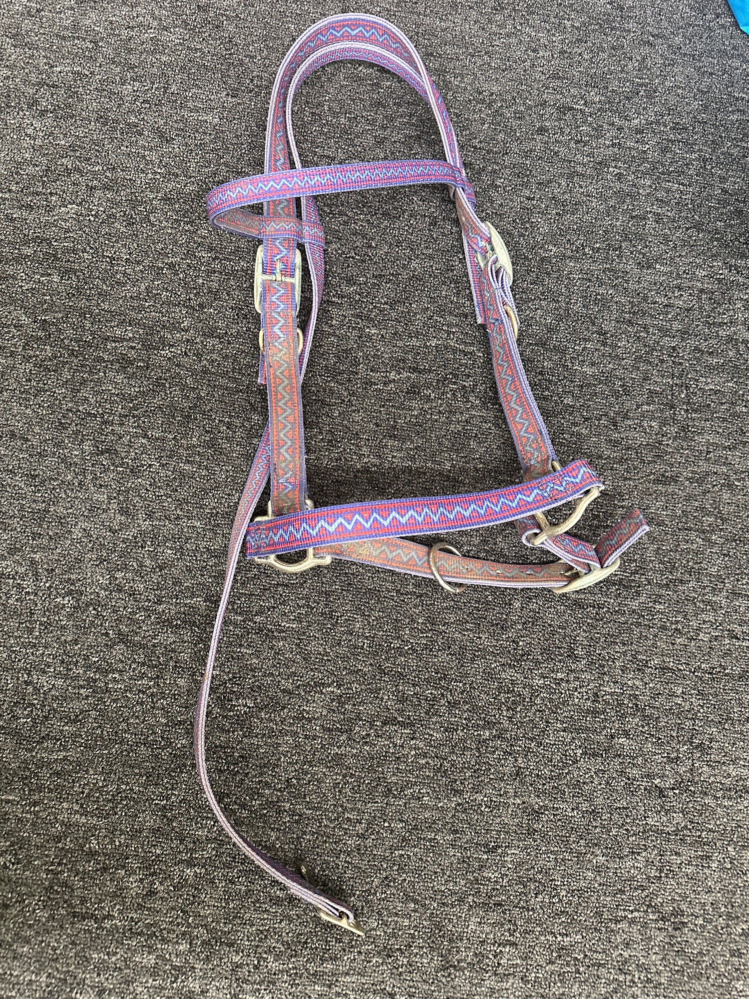 Halter Nylon Purple and pink