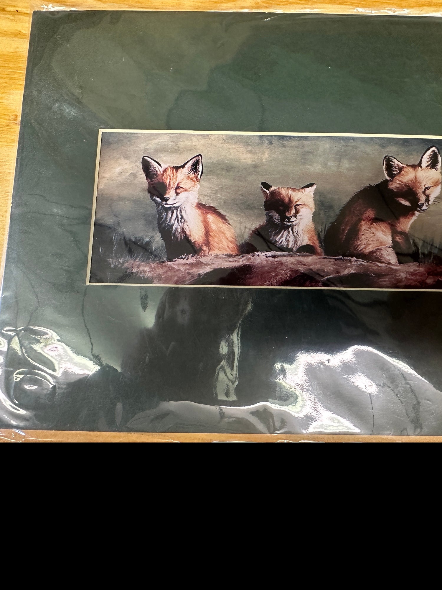 Unframed Fox Kits