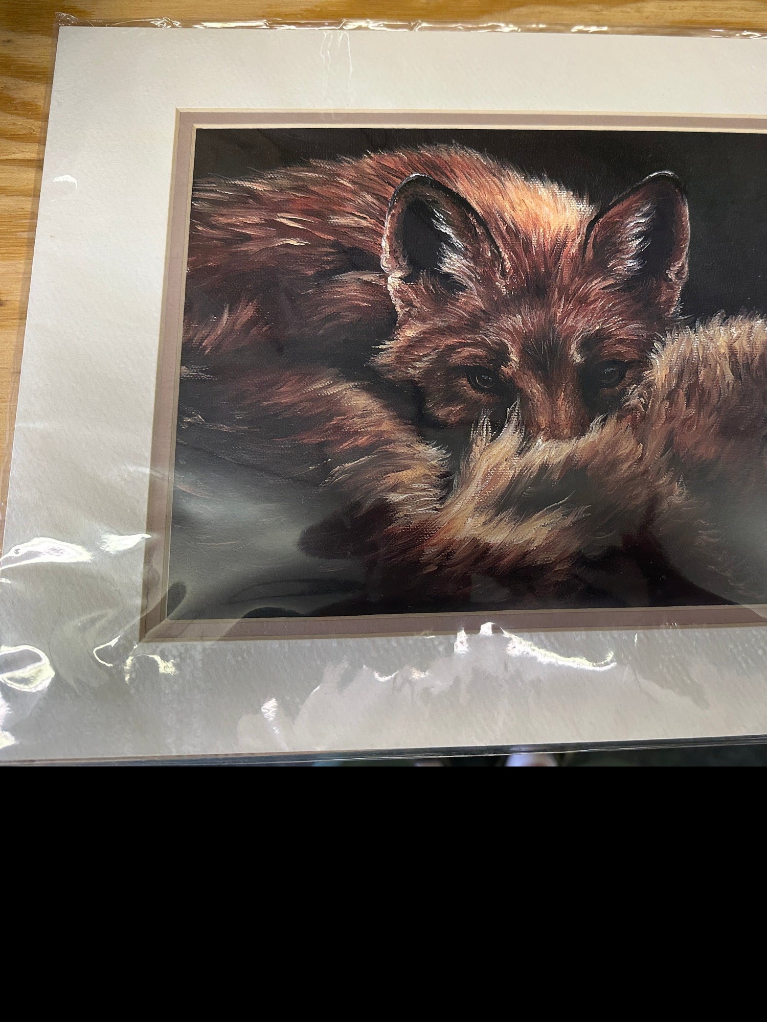 Unframed Curled Red Fox