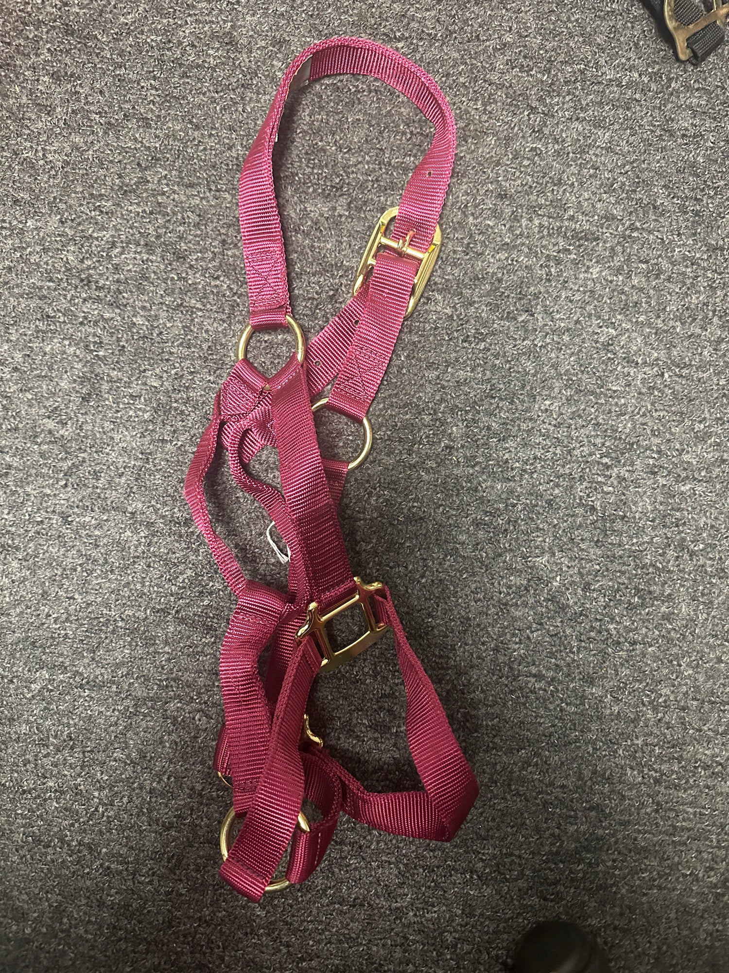 Medium Horse Halters assorted