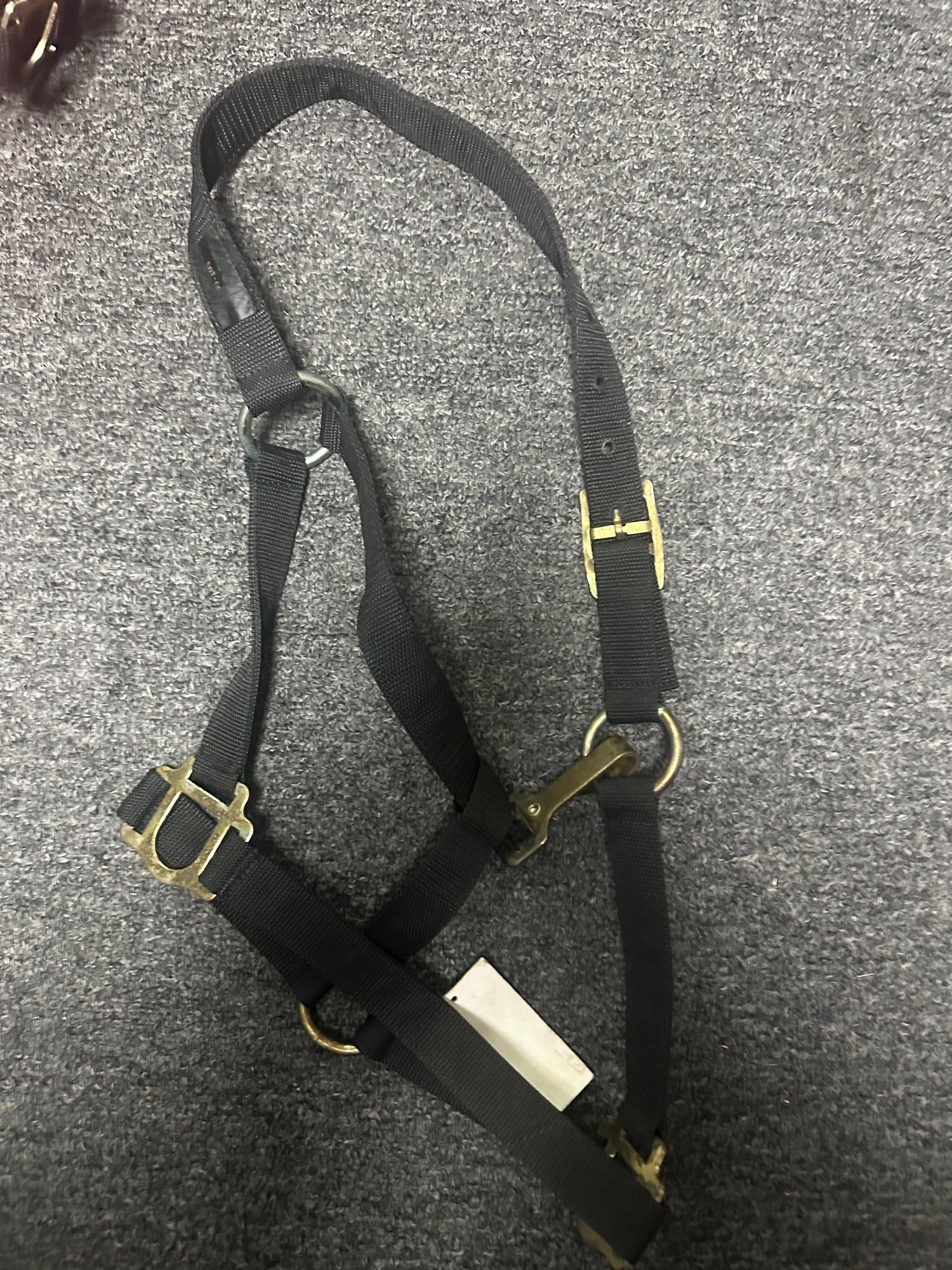 Medium Horse Halters assorted