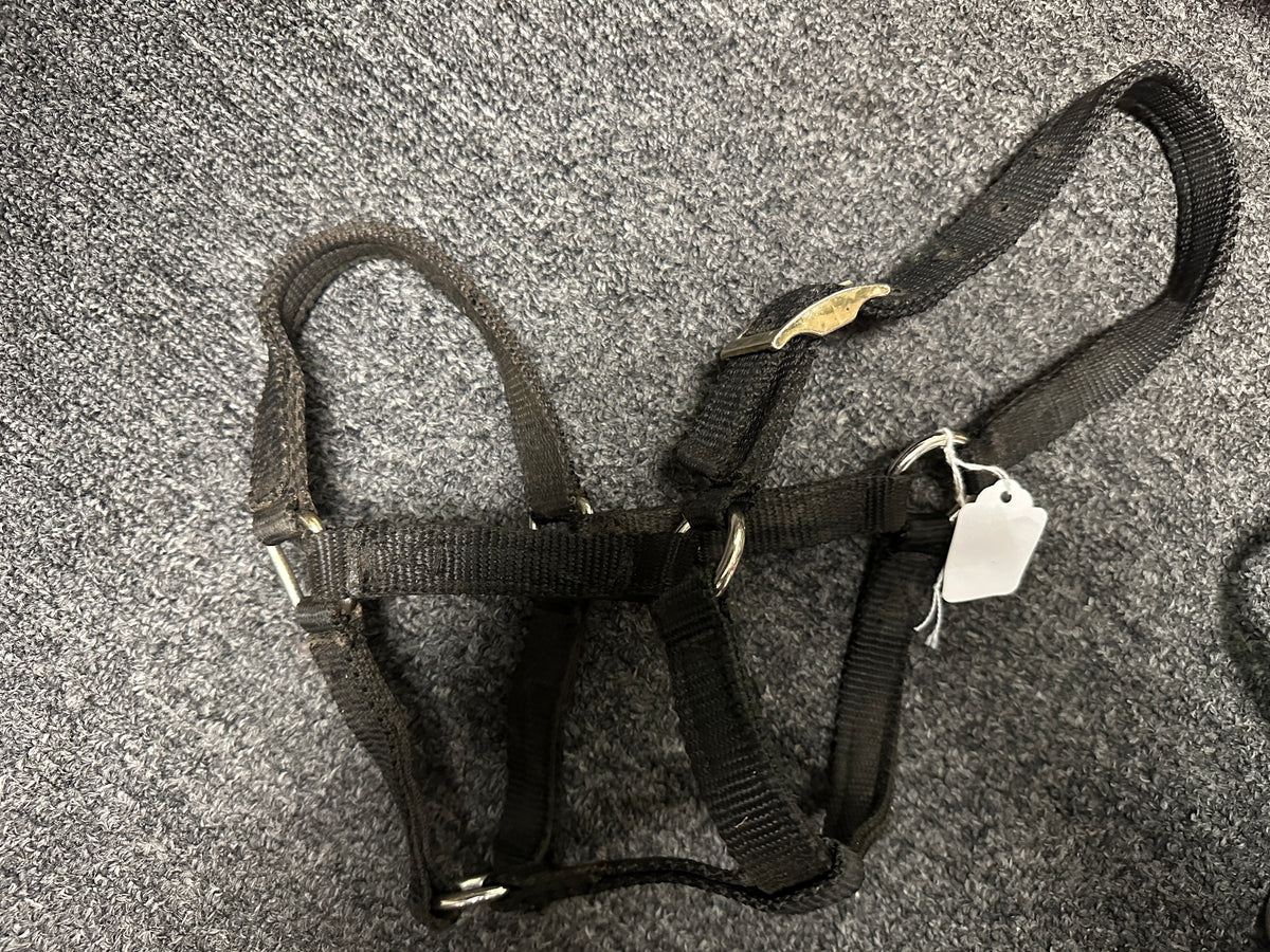 Mini horse or Foal Nylon Halters assorted