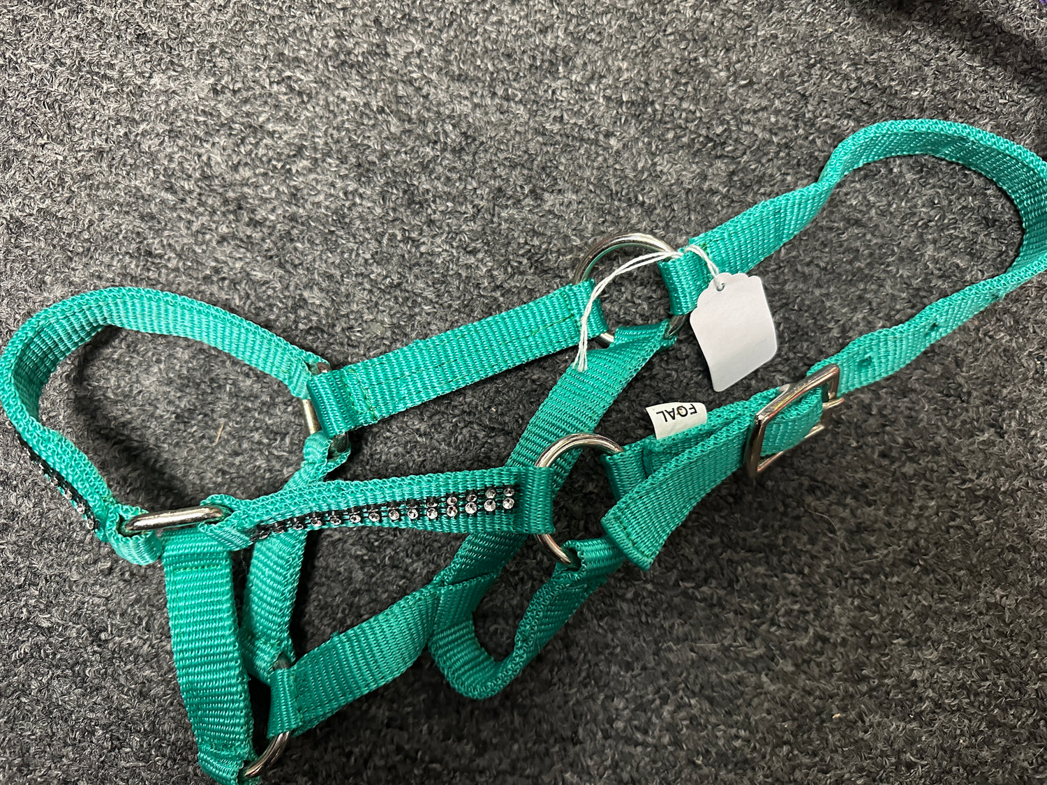 Mini horse or Foal Nylon Halters assorted