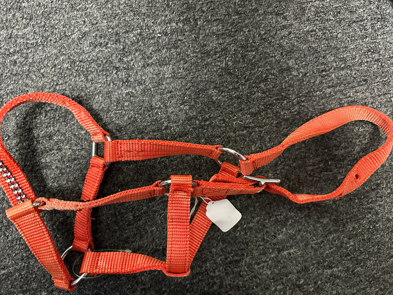 Mini horse or Foal Nylon Halters assorted