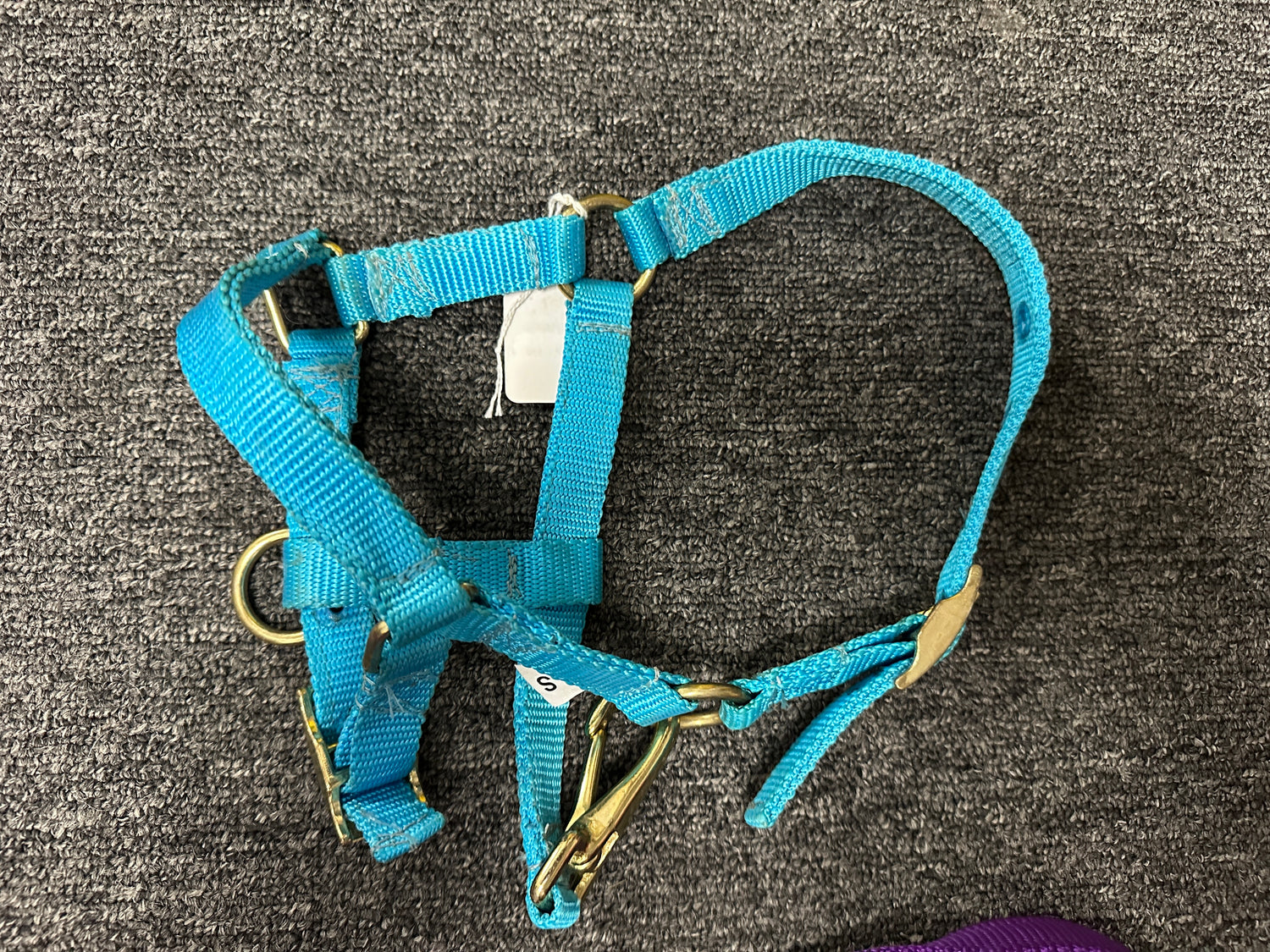 Mini horse or Foal Nylon Halters assorted