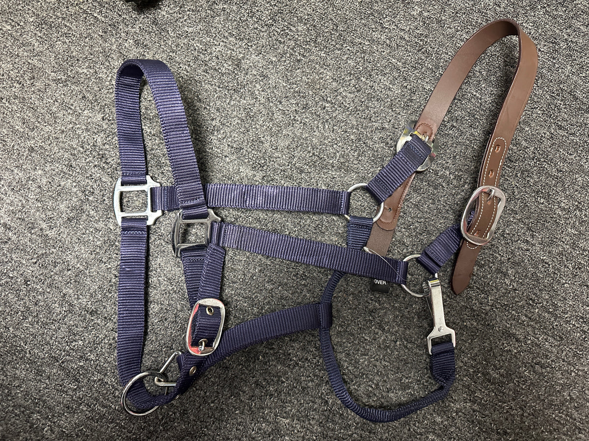 Horse Halters Nylon assorted
