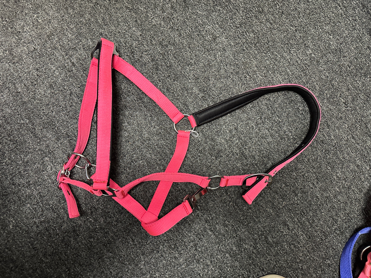 Horse Halters Nylon assorted