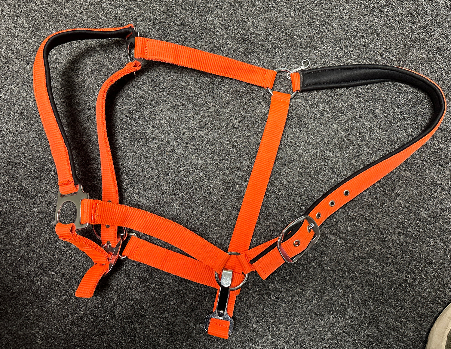 Horse Halters Nylon assorted